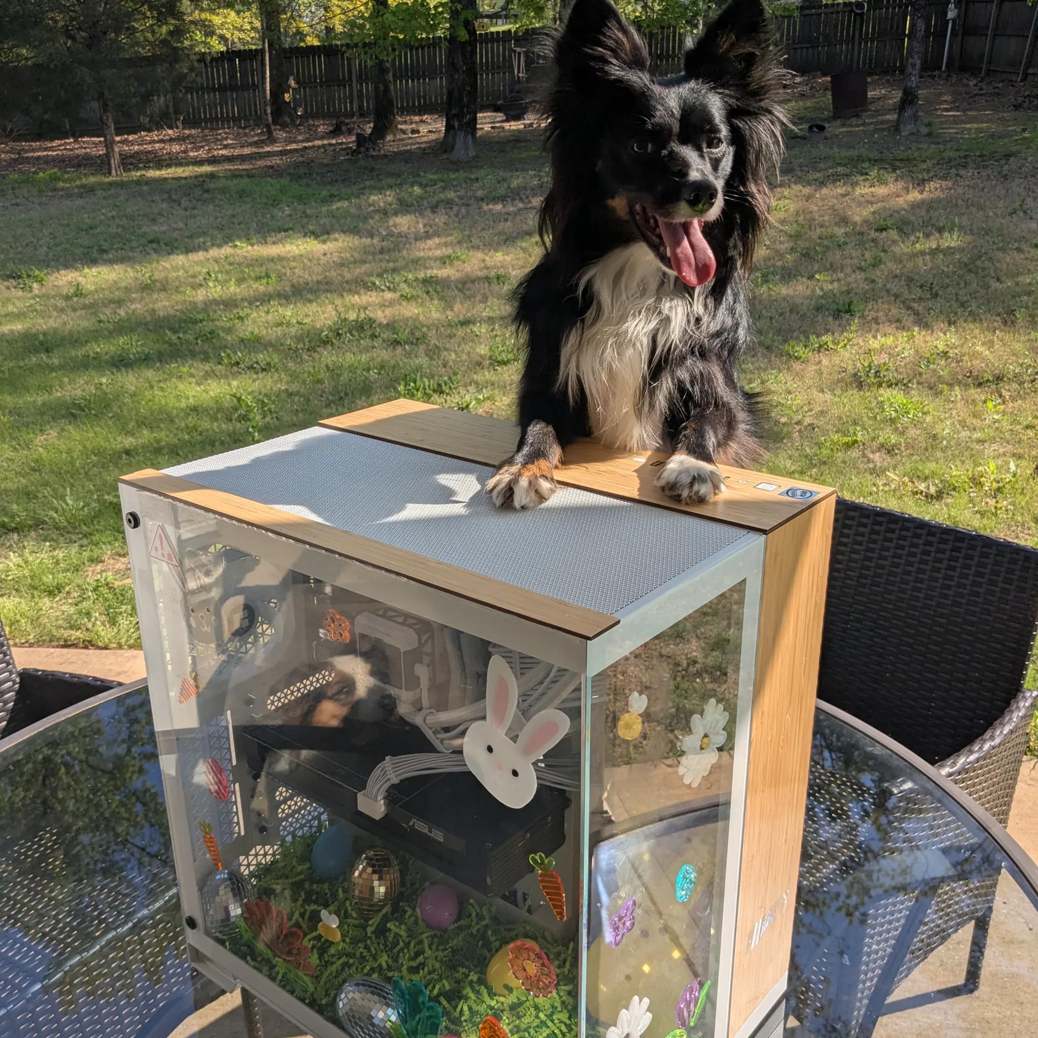 Eggcelent 4K Gaming/Streaming PC | i7-14700KF, RTX 5070, 2TB NVME, 32GB DDR5, Liquid Cooled