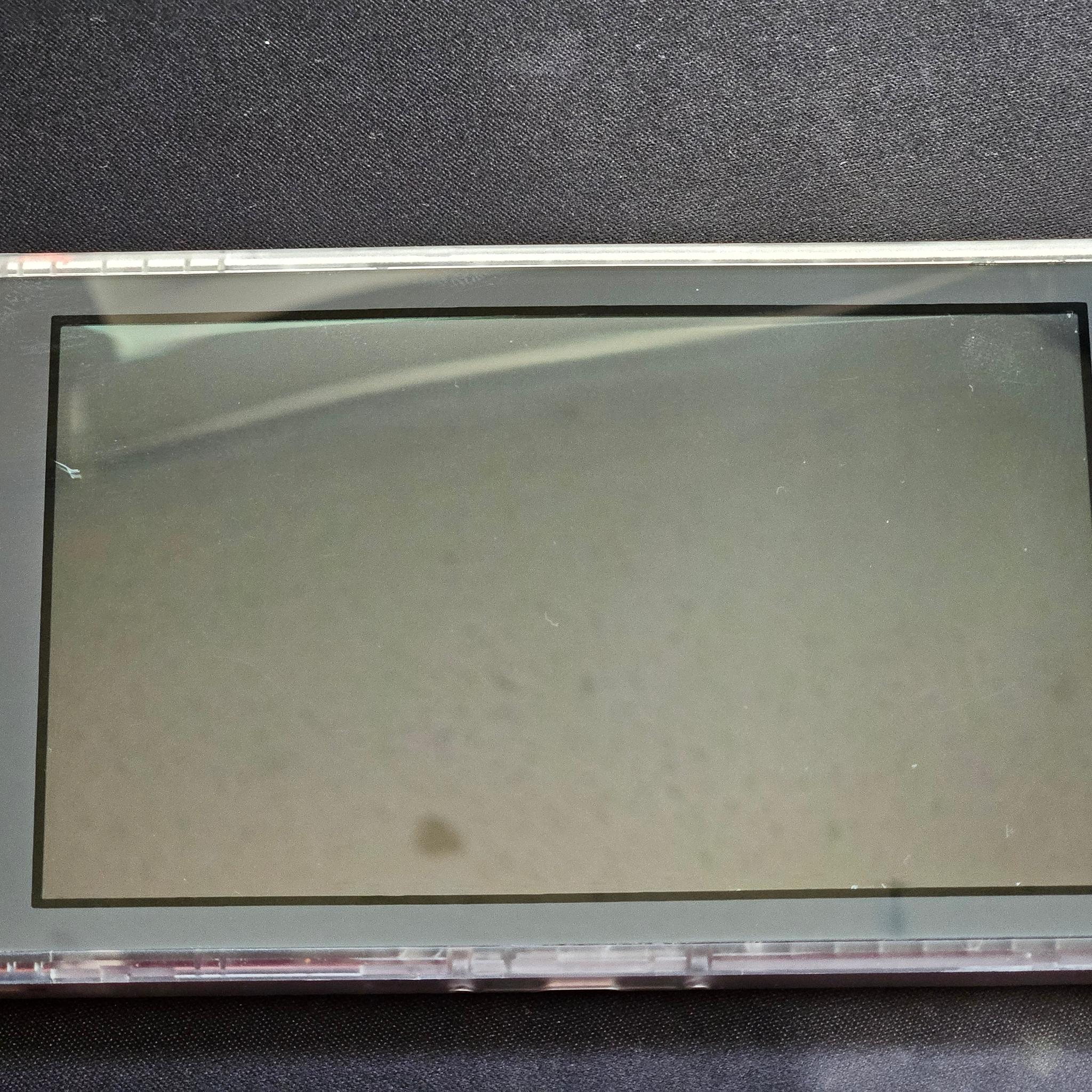 Clear Shell Nintendo Switch Lite