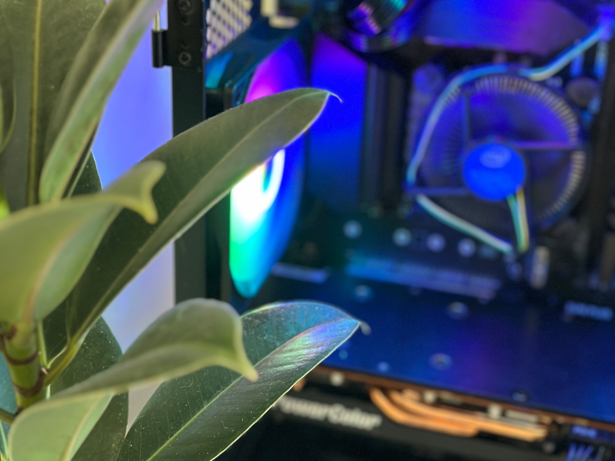 🌈Rainbow Warrior🥷||Custom Gaming PC With Intel i3 10100F and RX 5700 XT