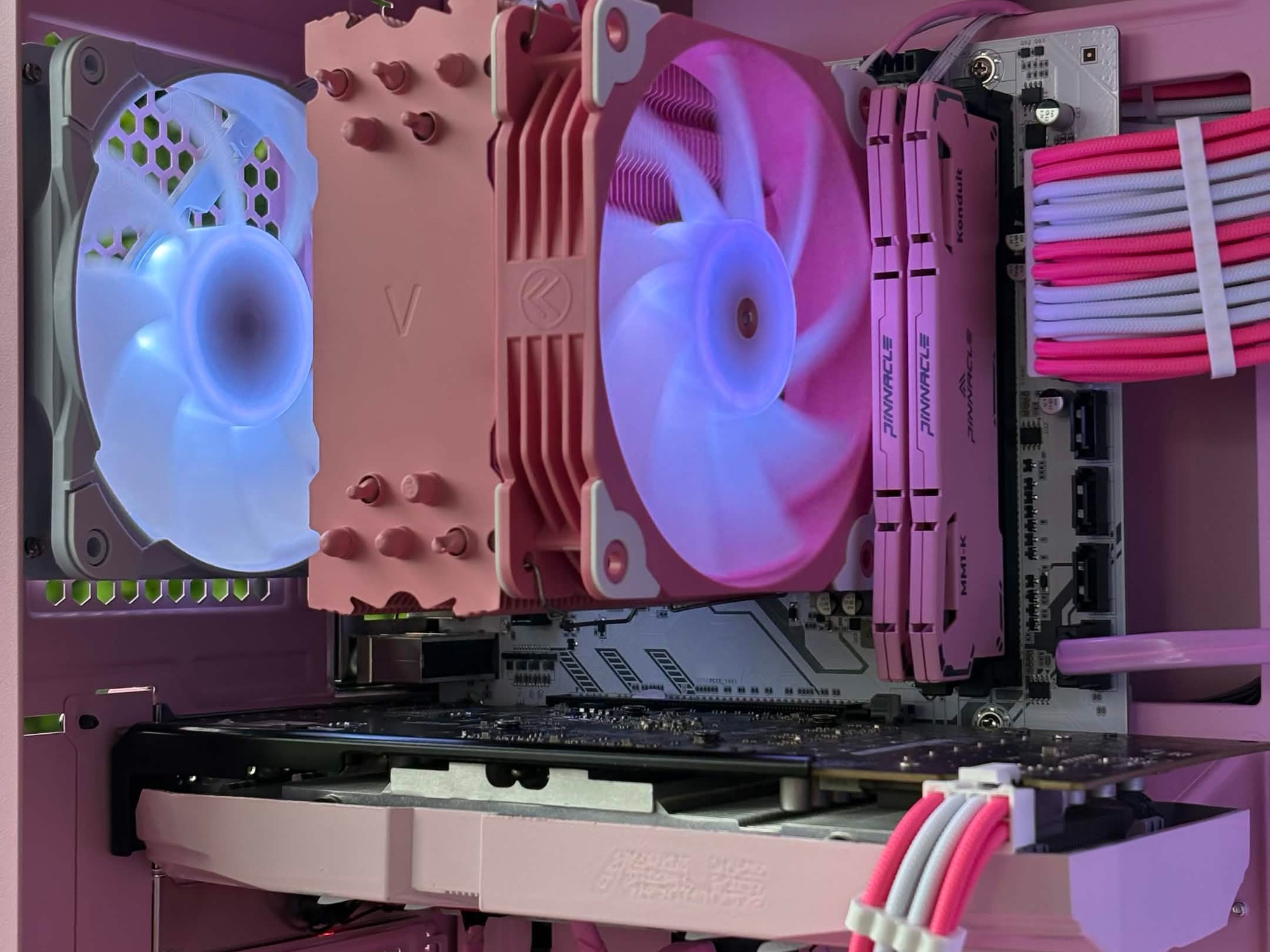 🌸 Black Cat Customs – Pink Venom 🌸 Ryzen 5 / RX580 / 16GB RAM / 128GB NVME + 1TB HDD