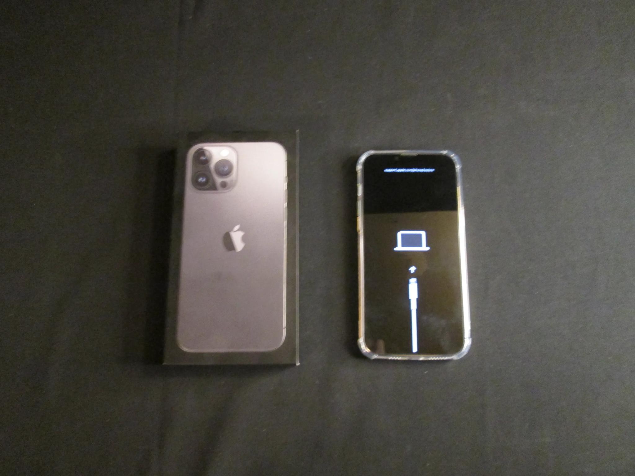 Iphone 13 Pro Max With Case