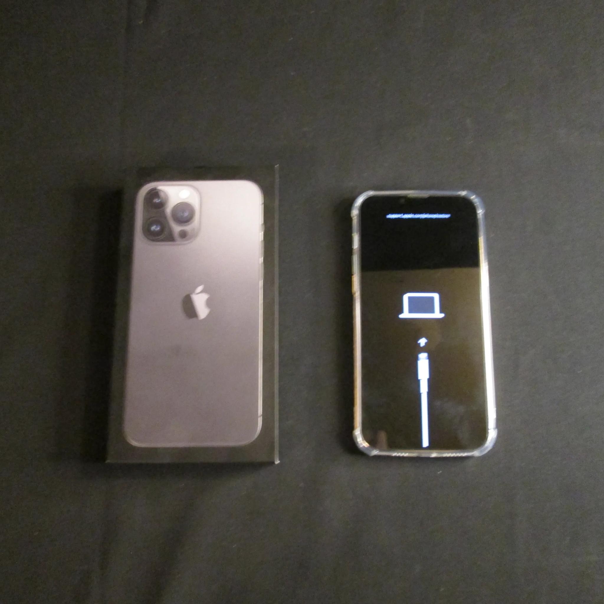Iphone 13 Pro Max With Case