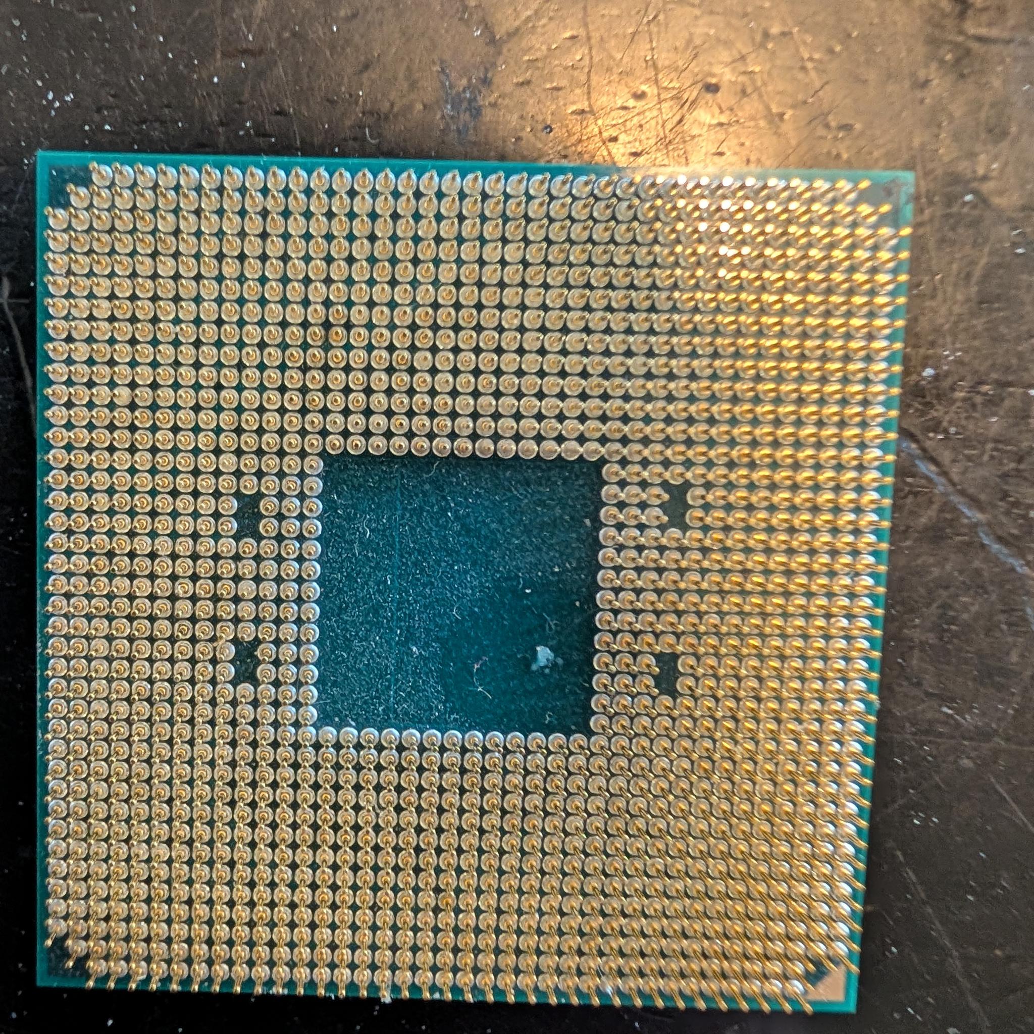 AMD Ryzen 5 3600