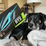 Gigabyte RTX 3070ti Eagle LHR