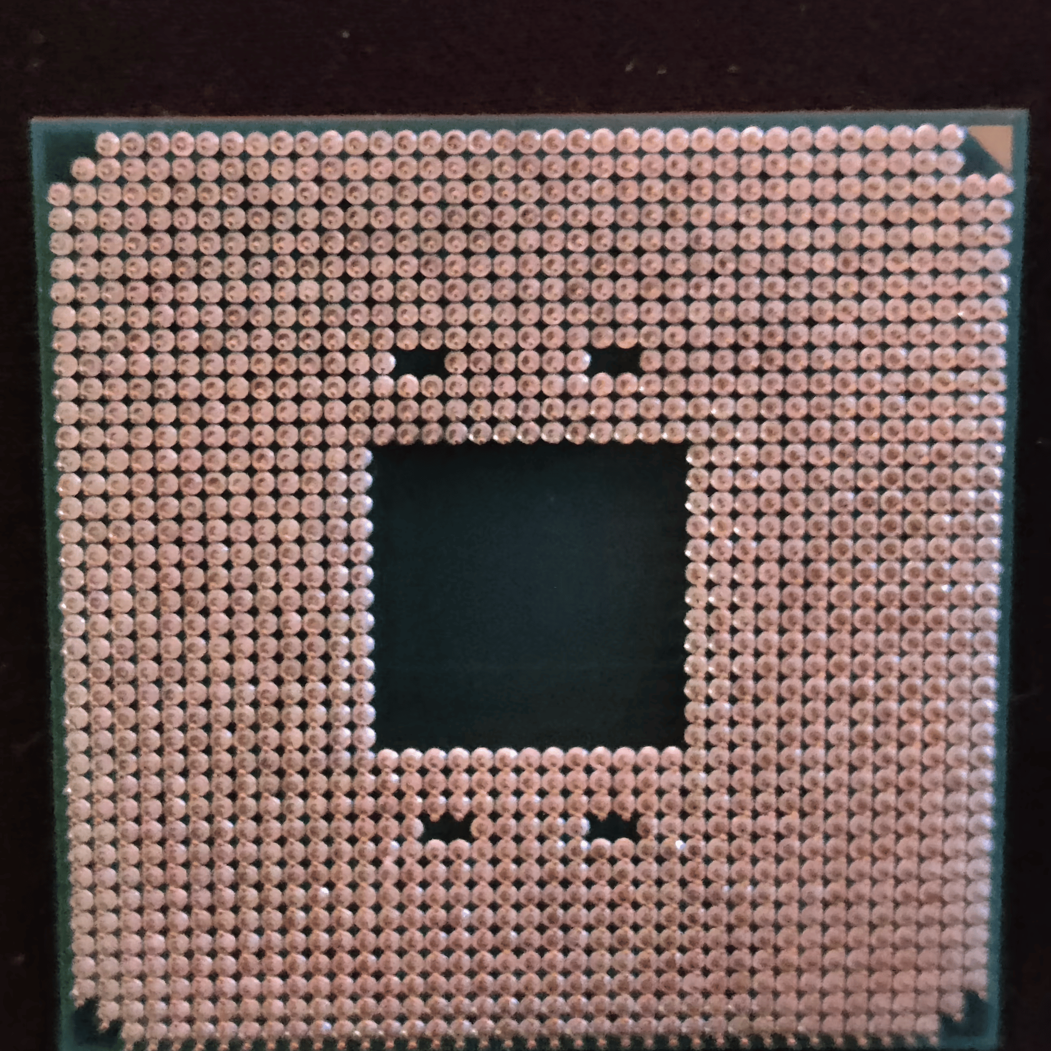 AMD Ryzen 5 5600x