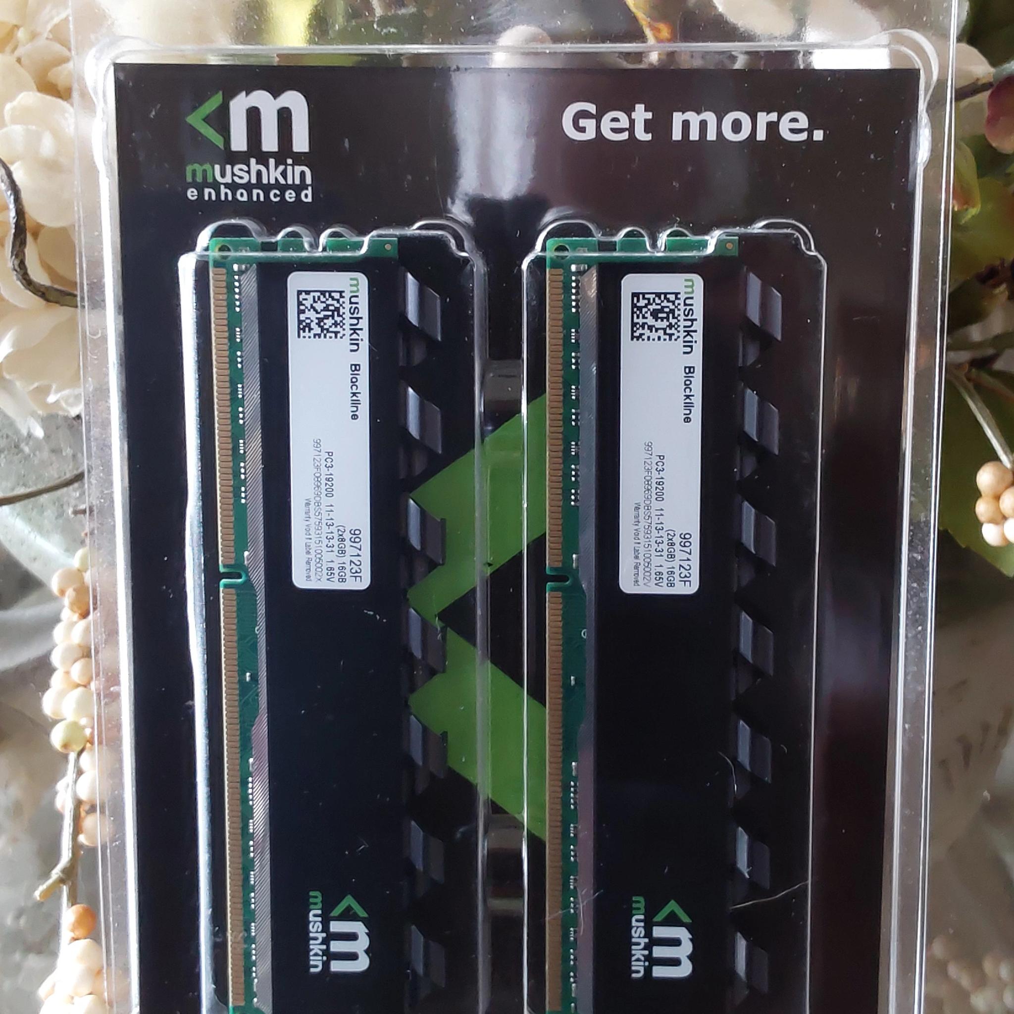 Mushkin Enhanced Blackline 16GB (8 x 2) DDR3 2400 (PC3 19200) Desktop Memory Model 997123F
