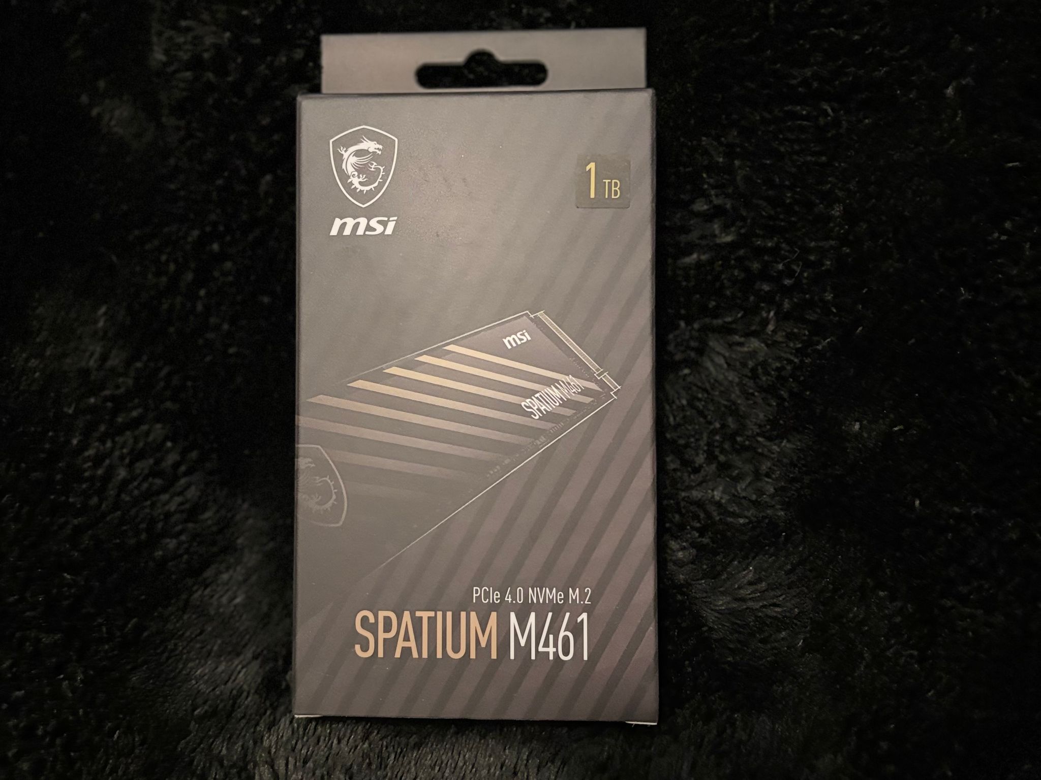MSI Spatium M461