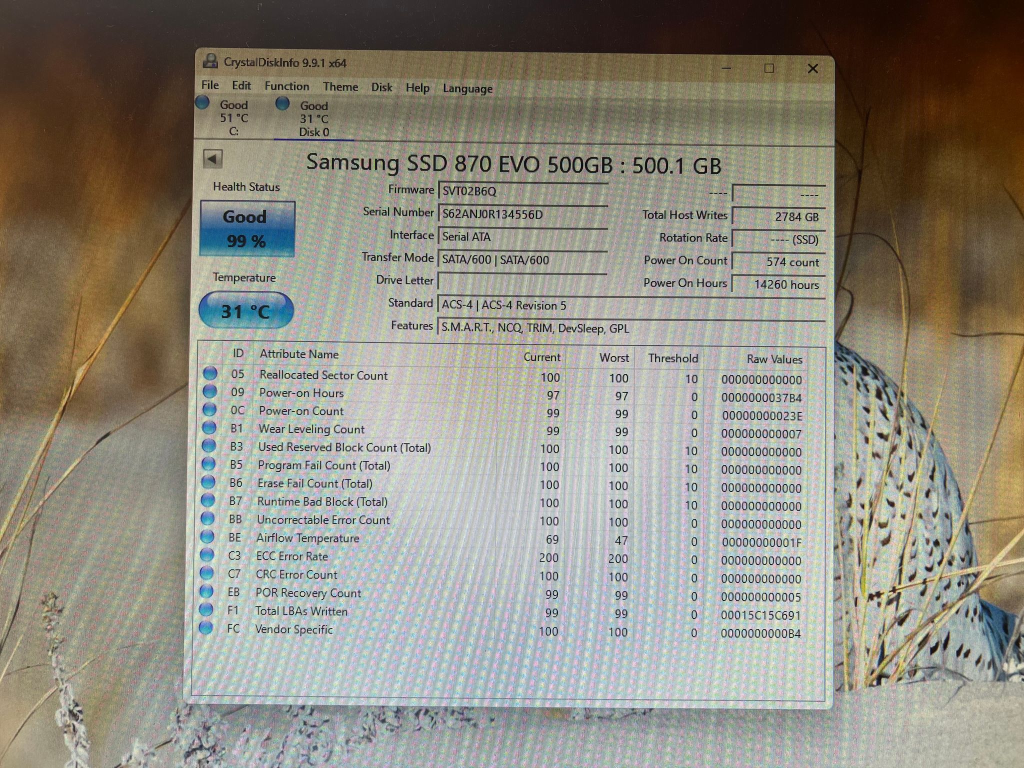 500GB Samsung 870 EVO SATA SSD with DRAM CACHE 99% Health