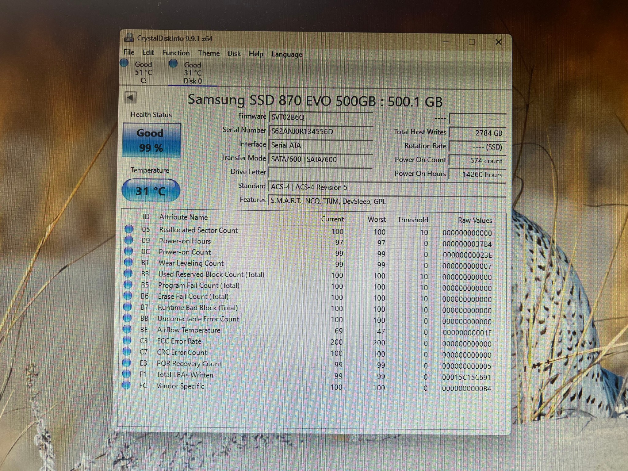 500GB Samsung 870 EVO SATA SSD with DRAM CACHE 99% Health