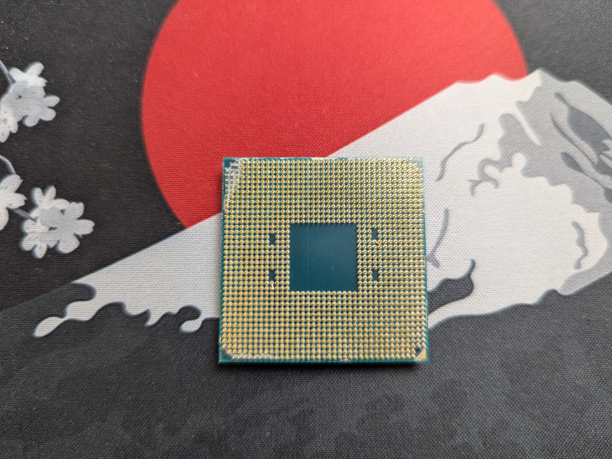 AMD Ryzen 5 5600X
