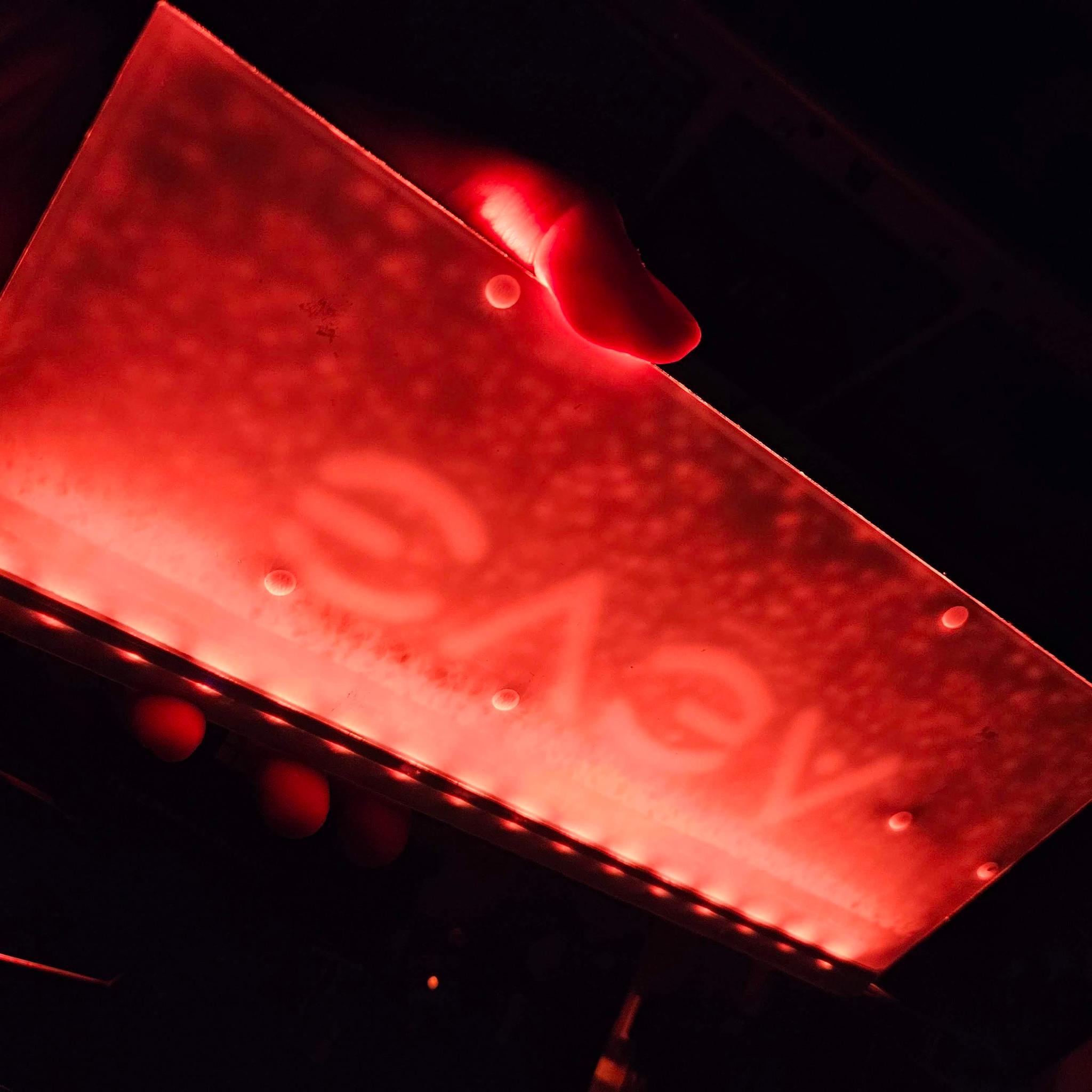 EVGA custom RGB backplate for 1080ti