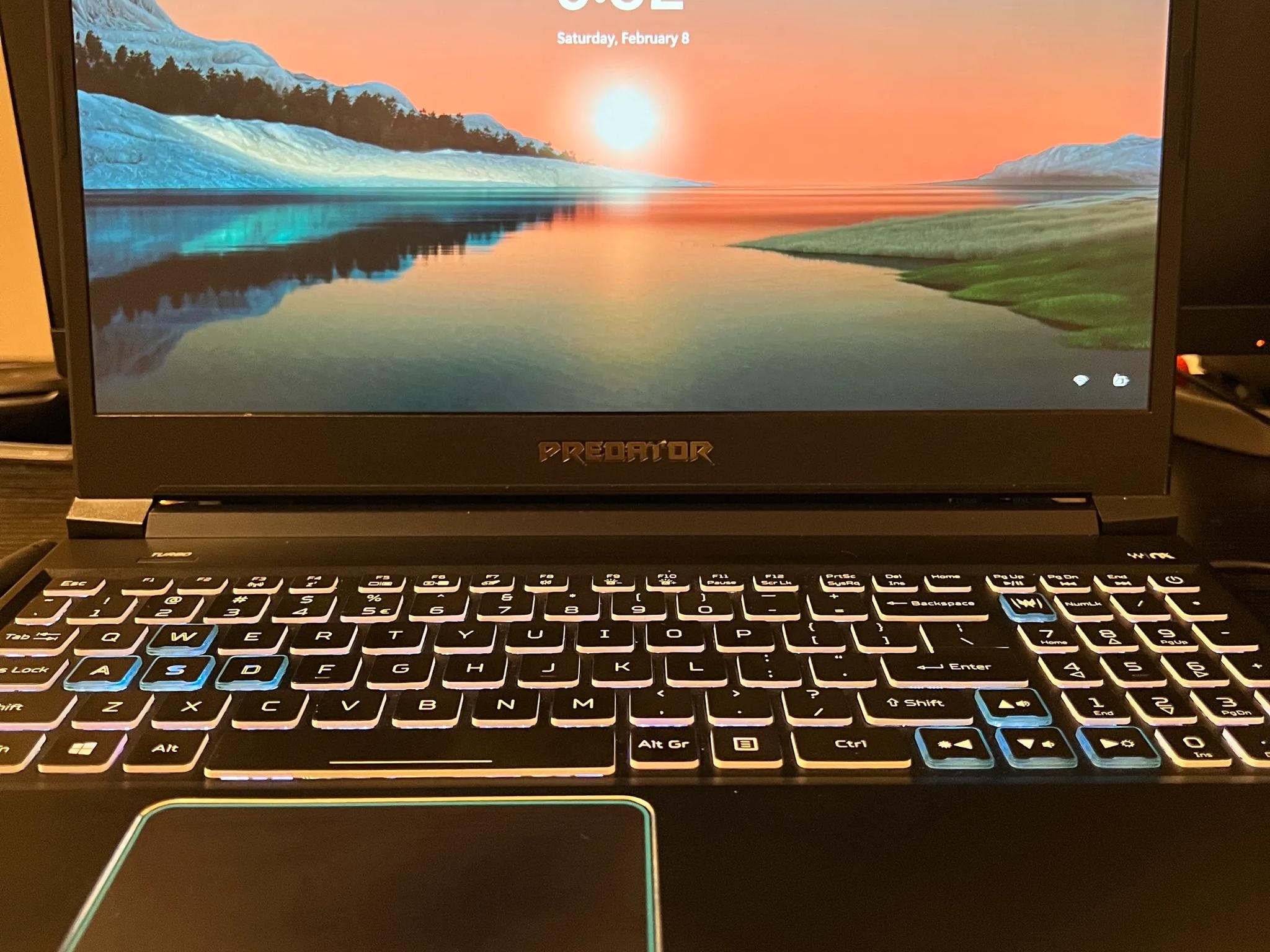 Acer Predator Helios 300 i7 9750H RTX 2060 32GB RAM 1 TB SSDs