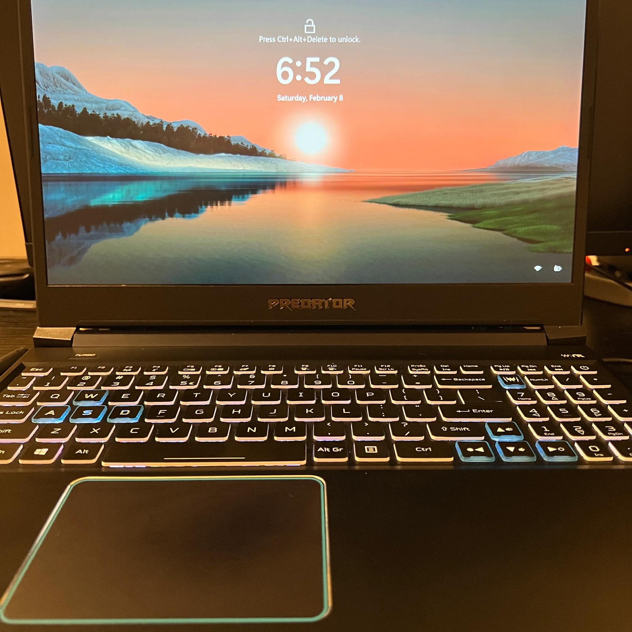 Acer Predator Helios 300 i7 9750H RTX 2060 32GB RAM 1 TB SSDs