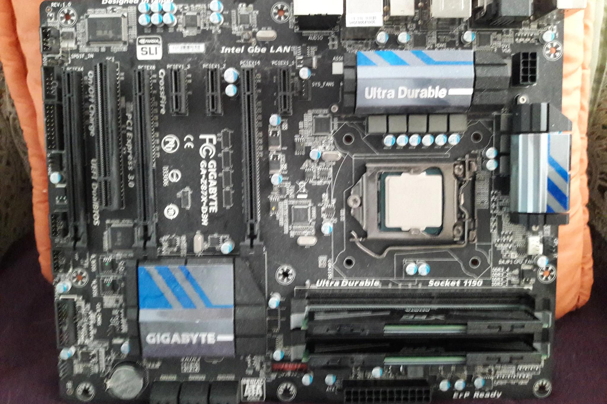 Chrysaliz@jawa