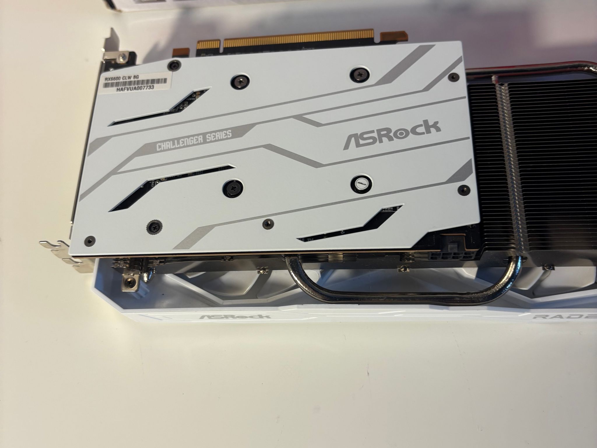 AMD Radeon RX 6600 8GB - Asrock Challenger White