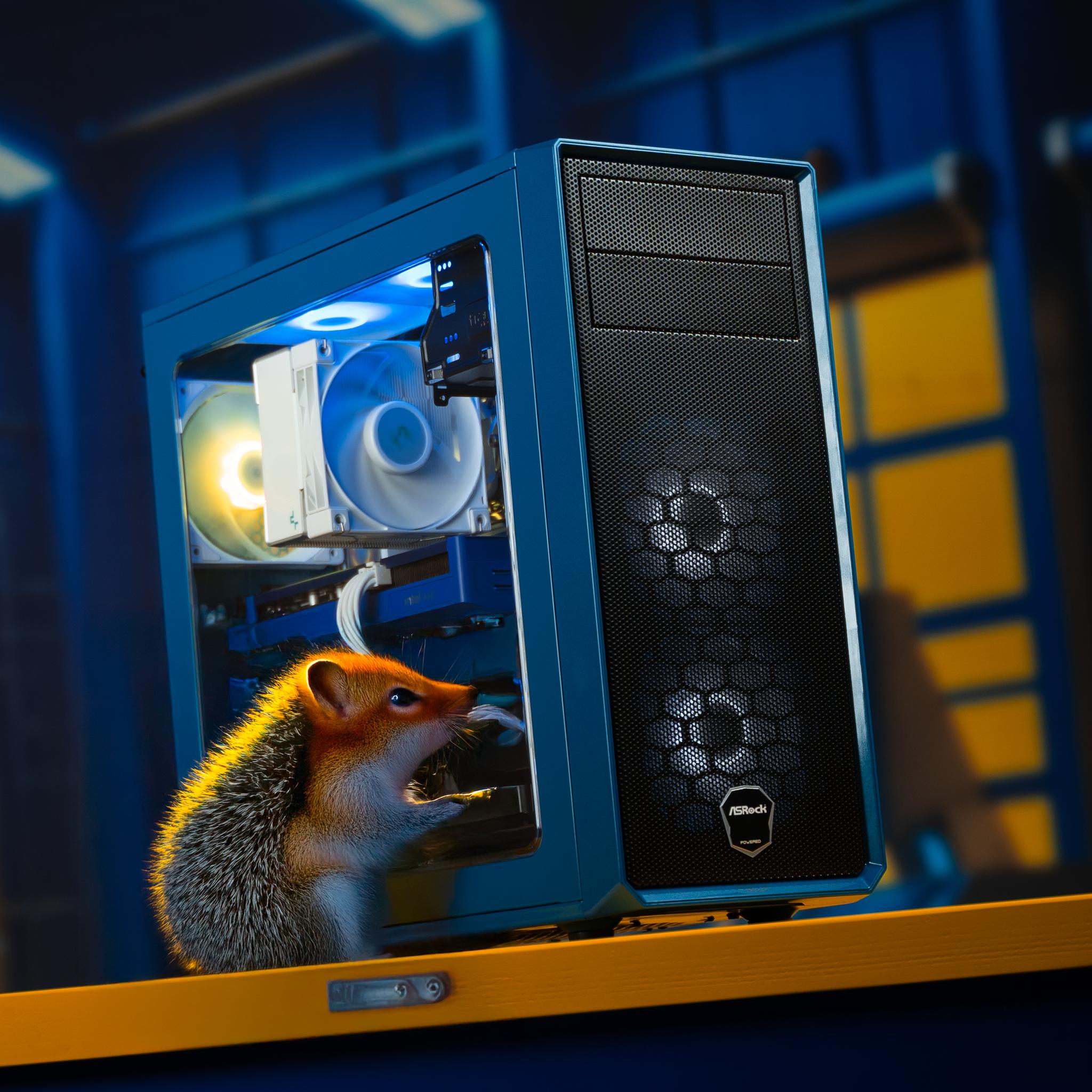 “Sonic's Arc” Intel Arc B570 i5 12400F 32GB Windows 11 Pro 1TB Gaming PC Powerhouse