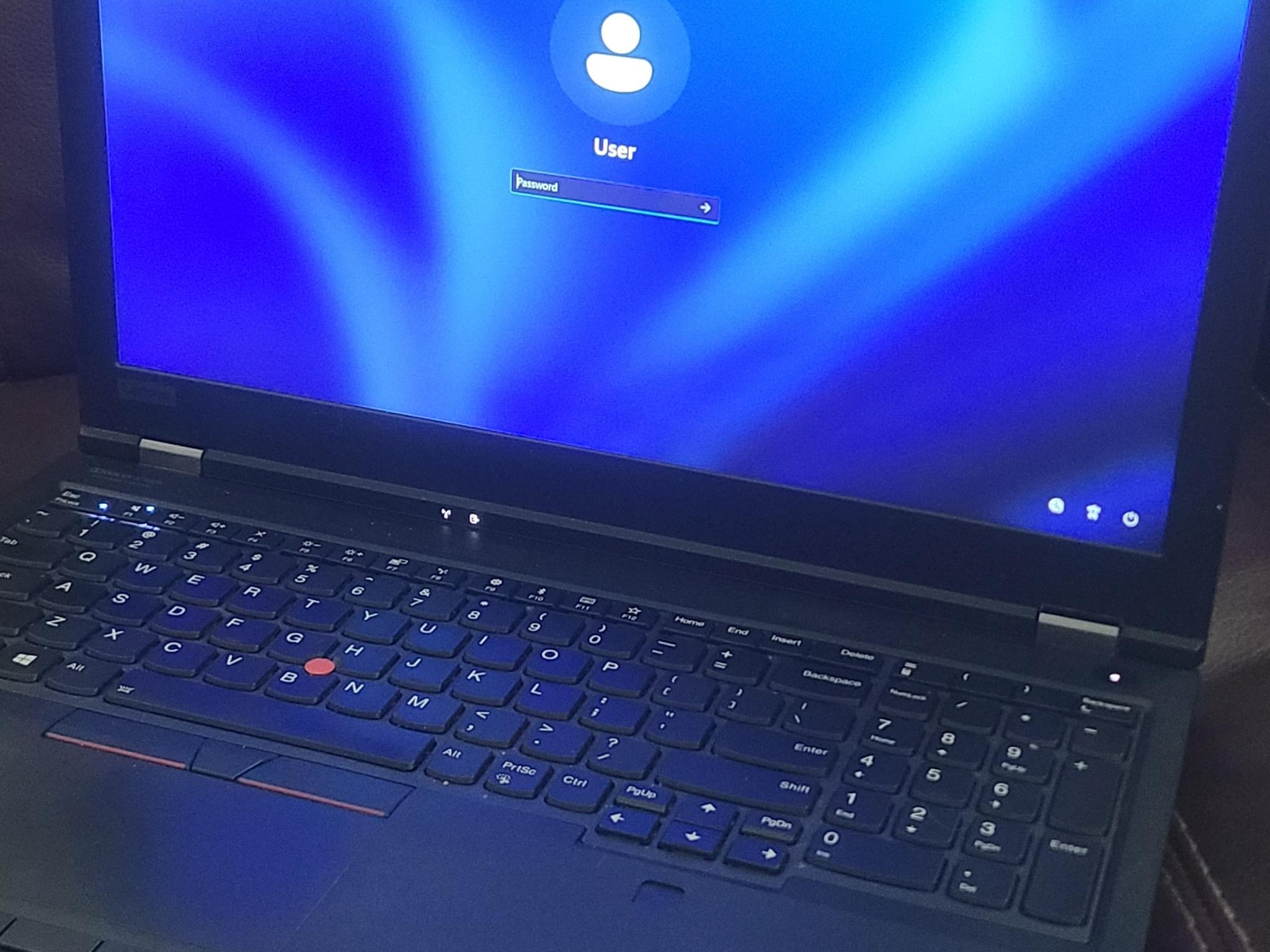Lenovo ThinkPad P53 - 64GB DDR4 - i7 9th Gen - Quadro 4GB GPU - Win11 Pro