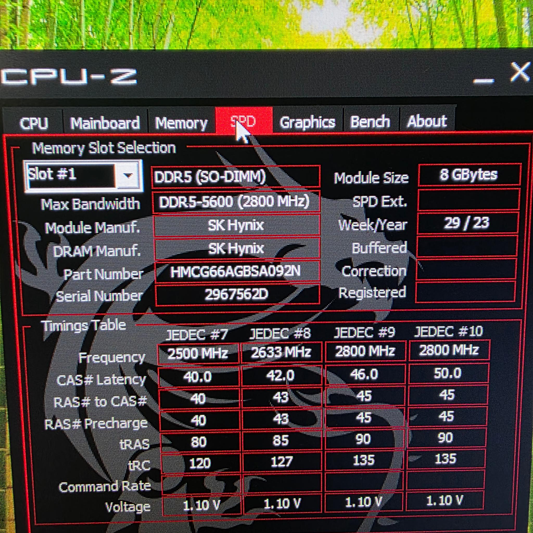Custom Gaming PC Build