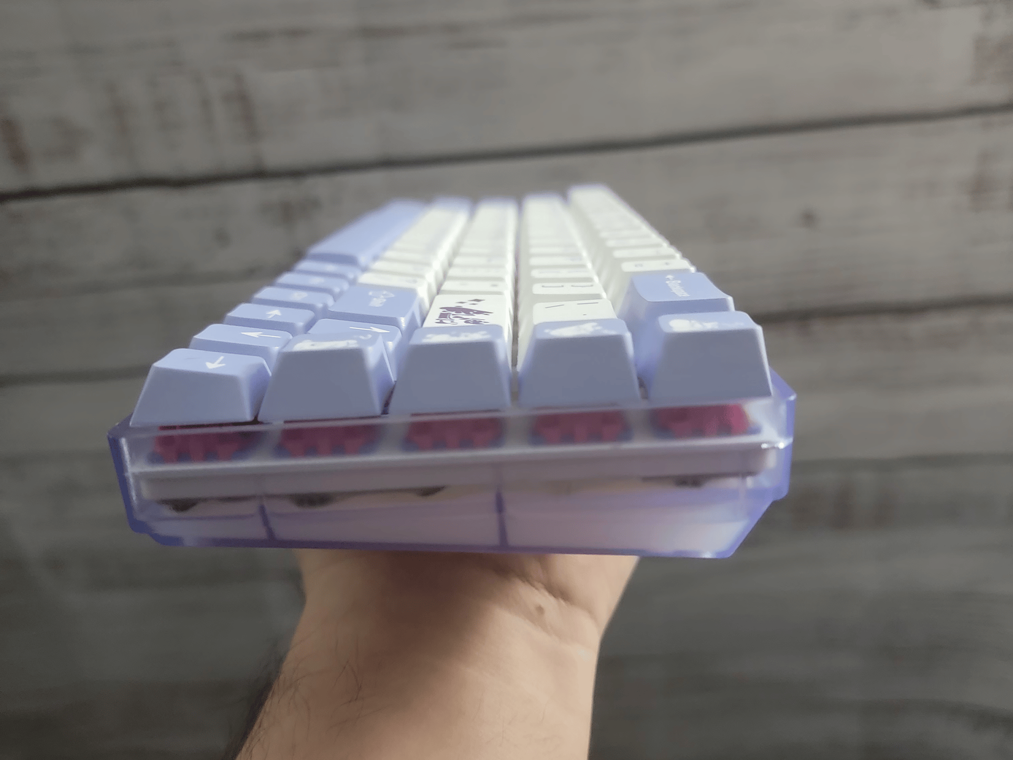 Tuzi: 65% Custom Mechanical Keyboard