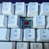 HK GAMING GK61 Mechanical Gaming Keyboard (Gateron Optical Red, White)