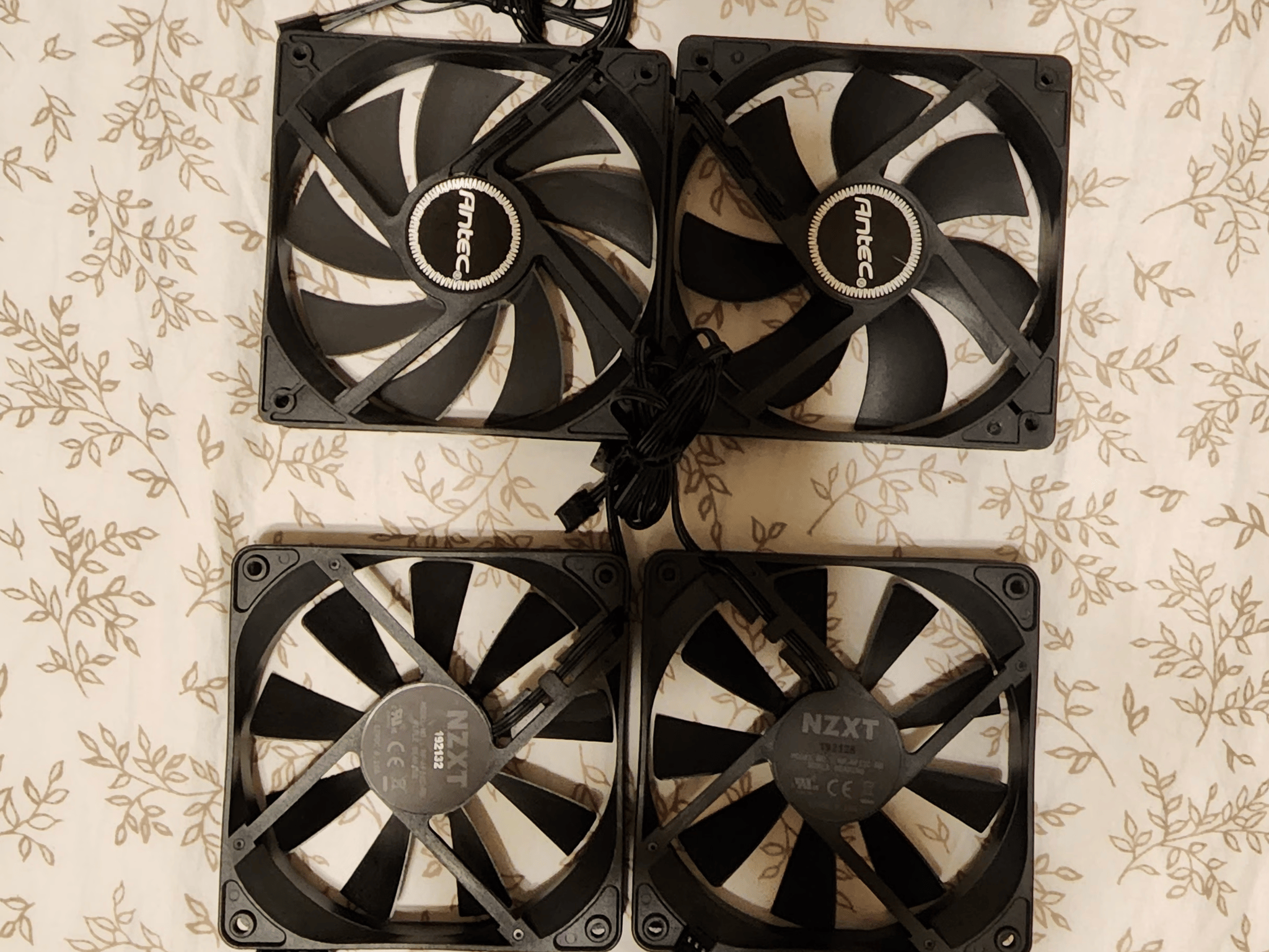 Assortment of Fans! 9 total