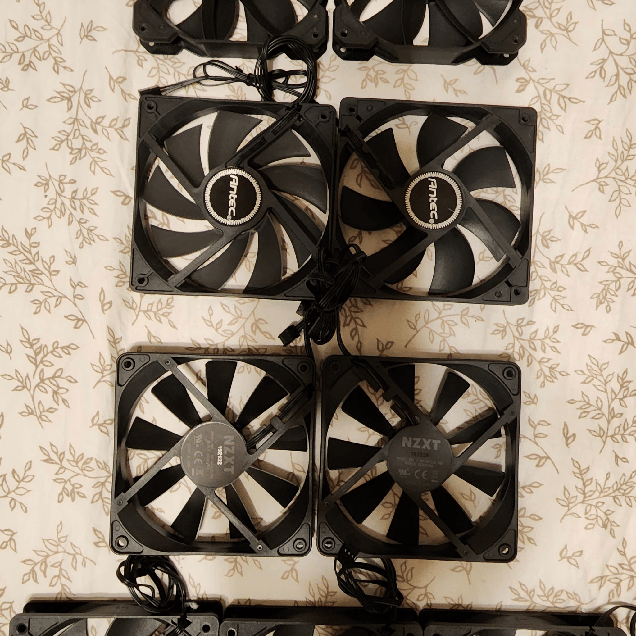 Assortment of Fans! 9 total