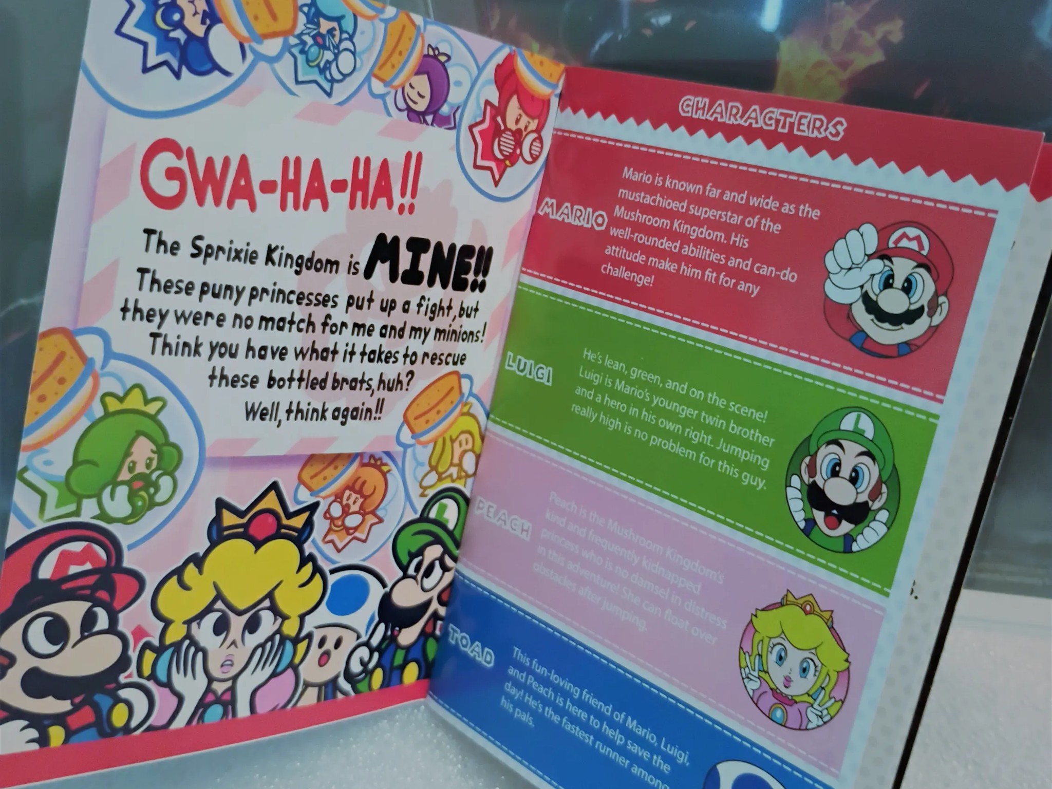 Rare Nintendo Fanart * Cover + Instruction Booklet Bowser's Fury Mario 3D World with Switch Games