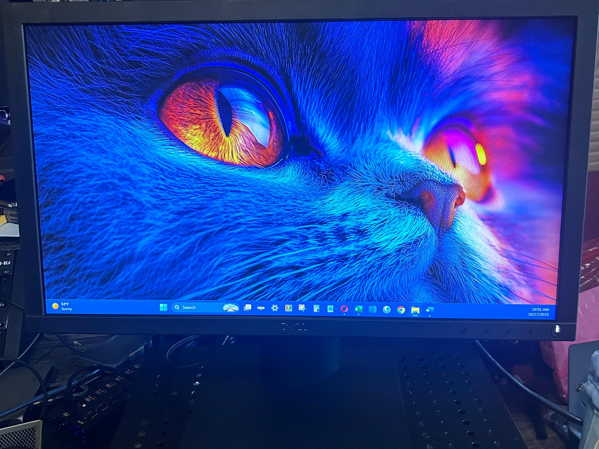 Dell Pro 20" Monitor - (E2020H)