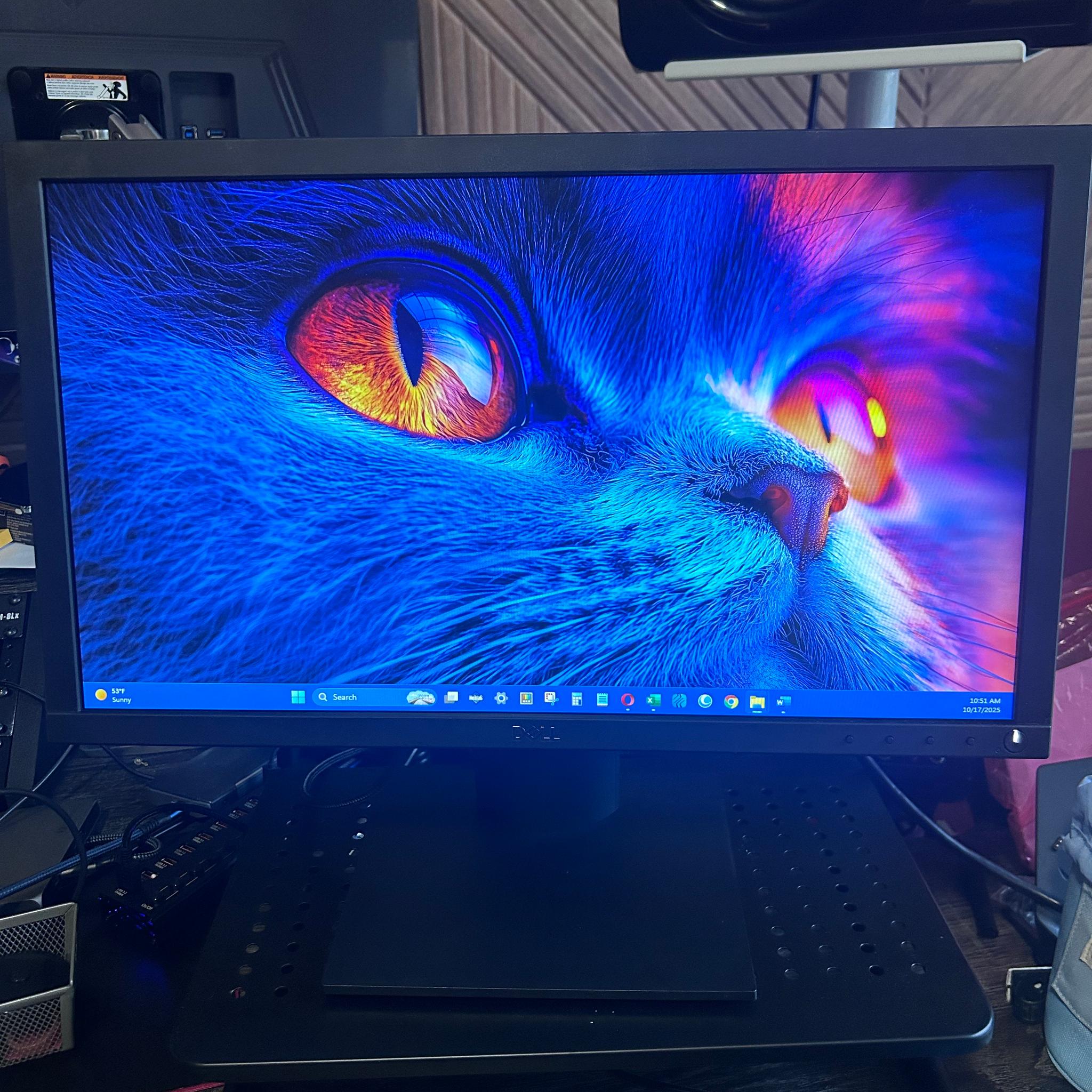 Dell Pro 20" Monitor - (E2020H)