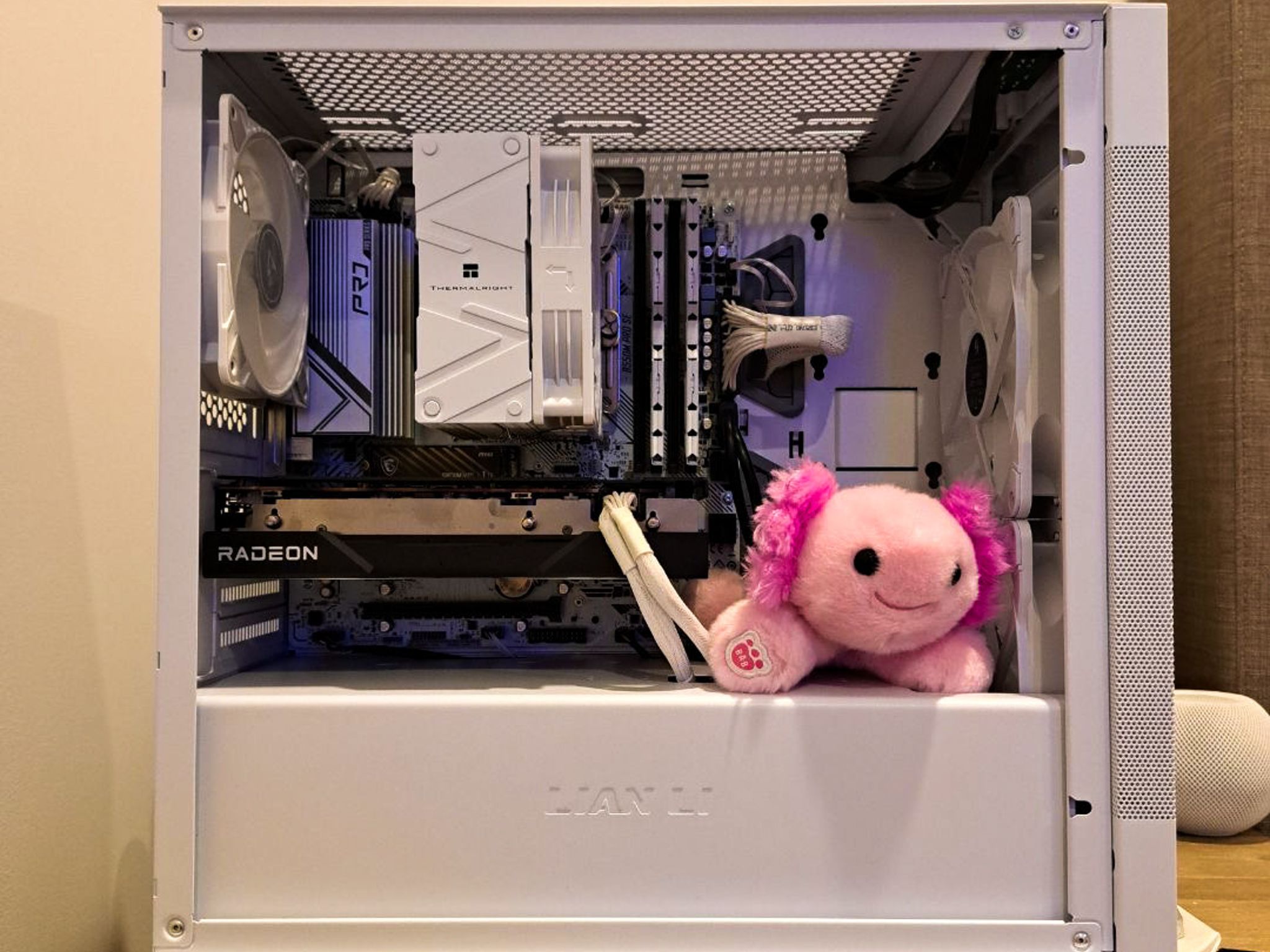 🌊||Axolotl||🌊 - Rx 6600xt and Ryzen 5600