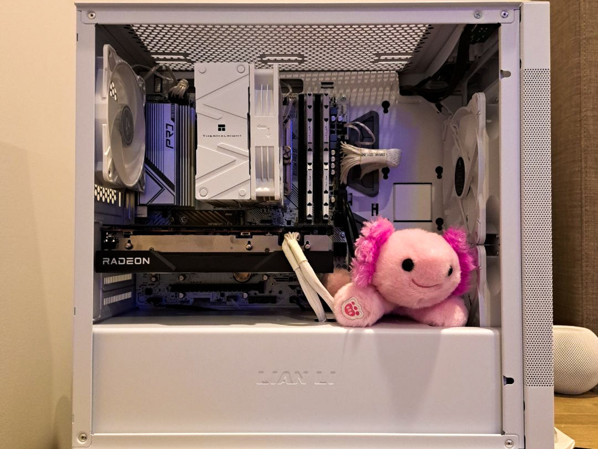 🌊||Axolotl||🌊 - Rx 6600xt and Ryzen 5600
