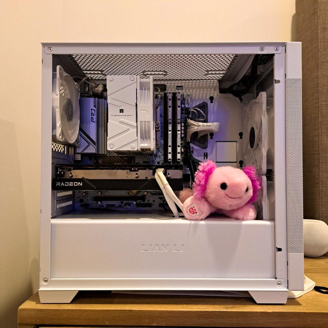🌊||Axolotl||🌊 - Rx 6600xt and Ryzen 5600
