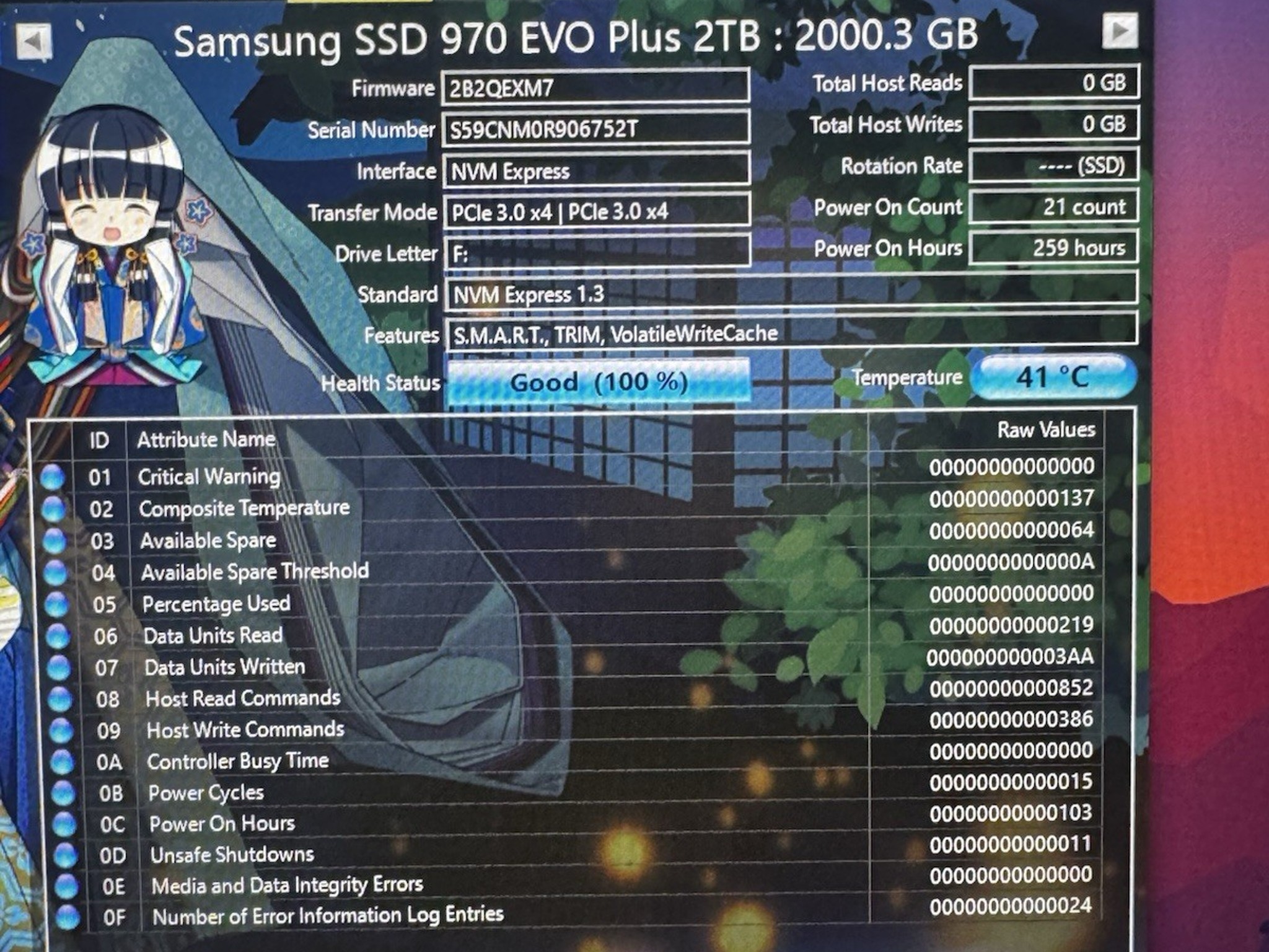 Samsung 970 EVO Plus NVMe M.2 2TB Internal Solid State Drive