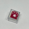 DOLLAR KEYCAPS!! *Nyan Paw*