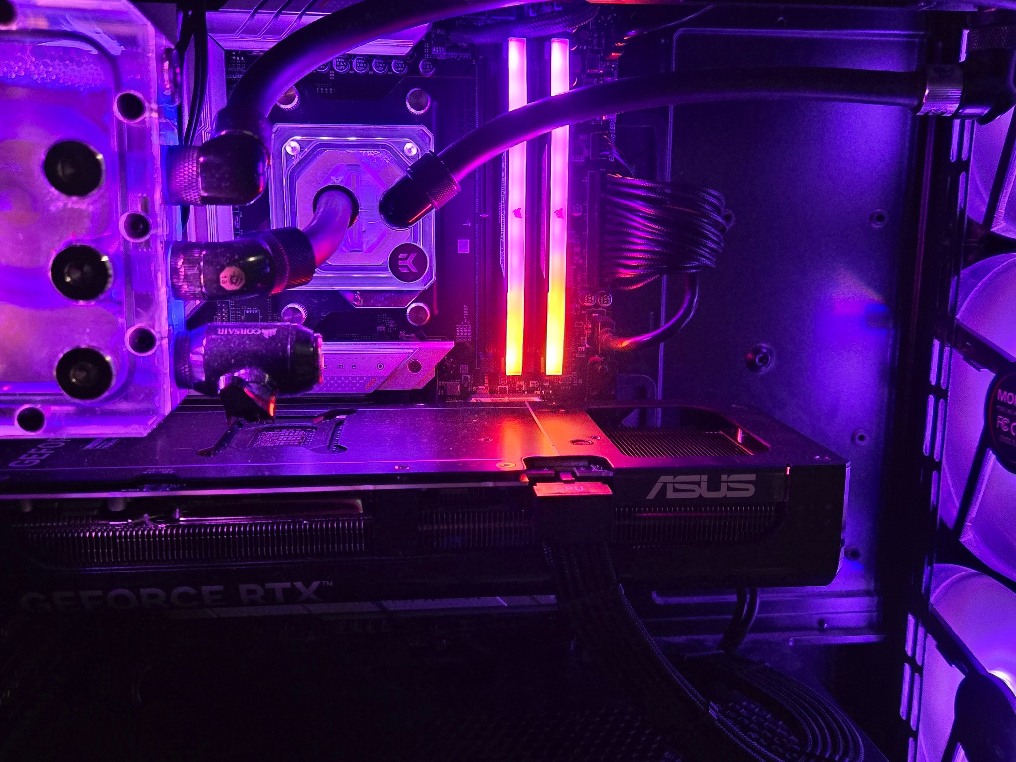 Am4 / Janky Am5 loop