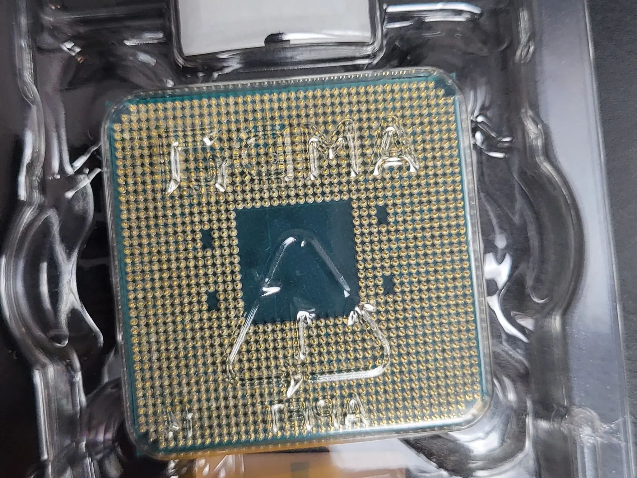 Ryzen 5 5600 (New, No Box)