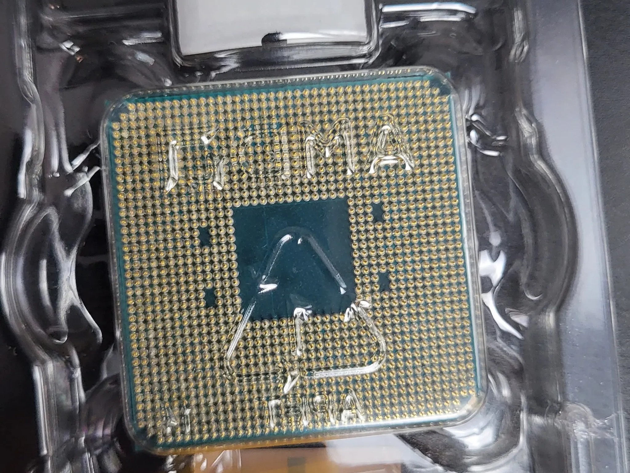 Ryzen 5 5600 (New, No Box)