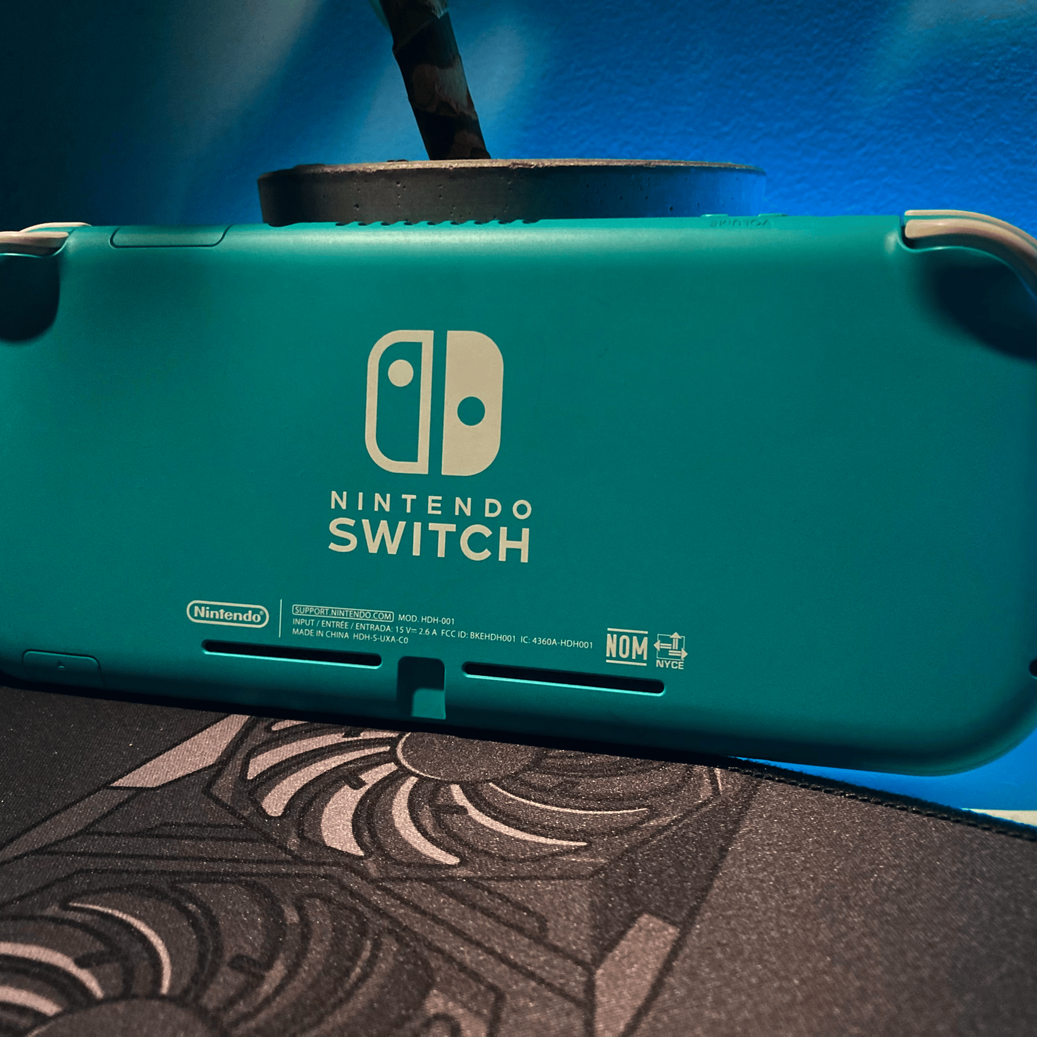 Turquoise Nintendo Switch Lite
