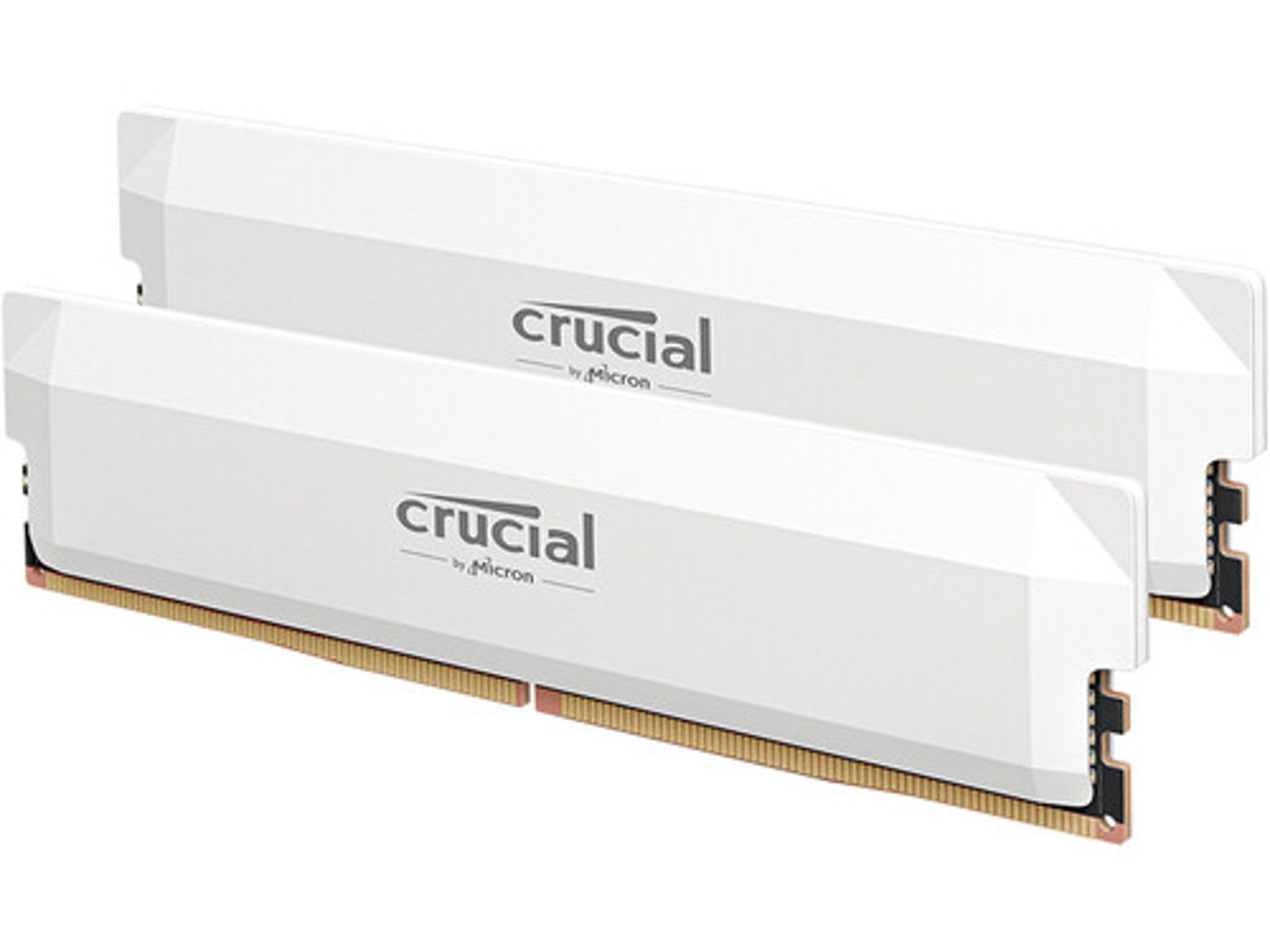 Crucial Pro - DDR5 32GB - White