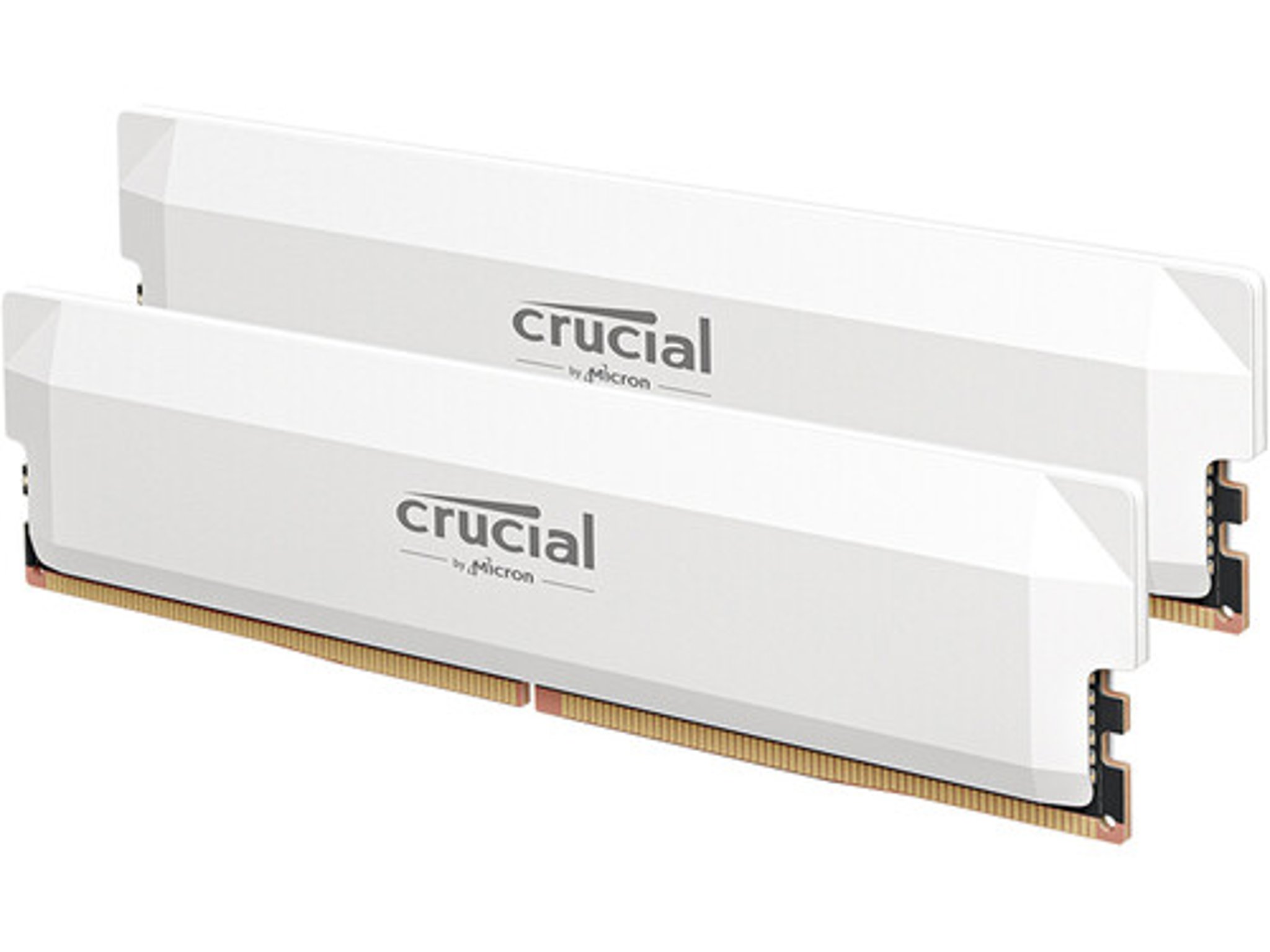 Crucial Pro - DDR5 32GB - White