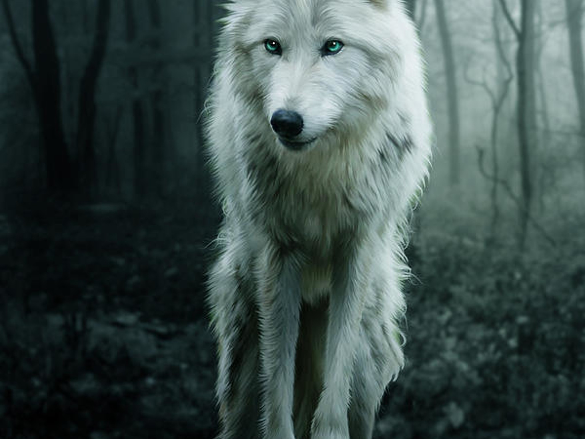 Arctic Wolf - Ryzen 7 7800X3d | Nvidia 4070 OC 12GB | 32GB @6000 MT/sec | 4TB NVME | 1000W Gold PSU