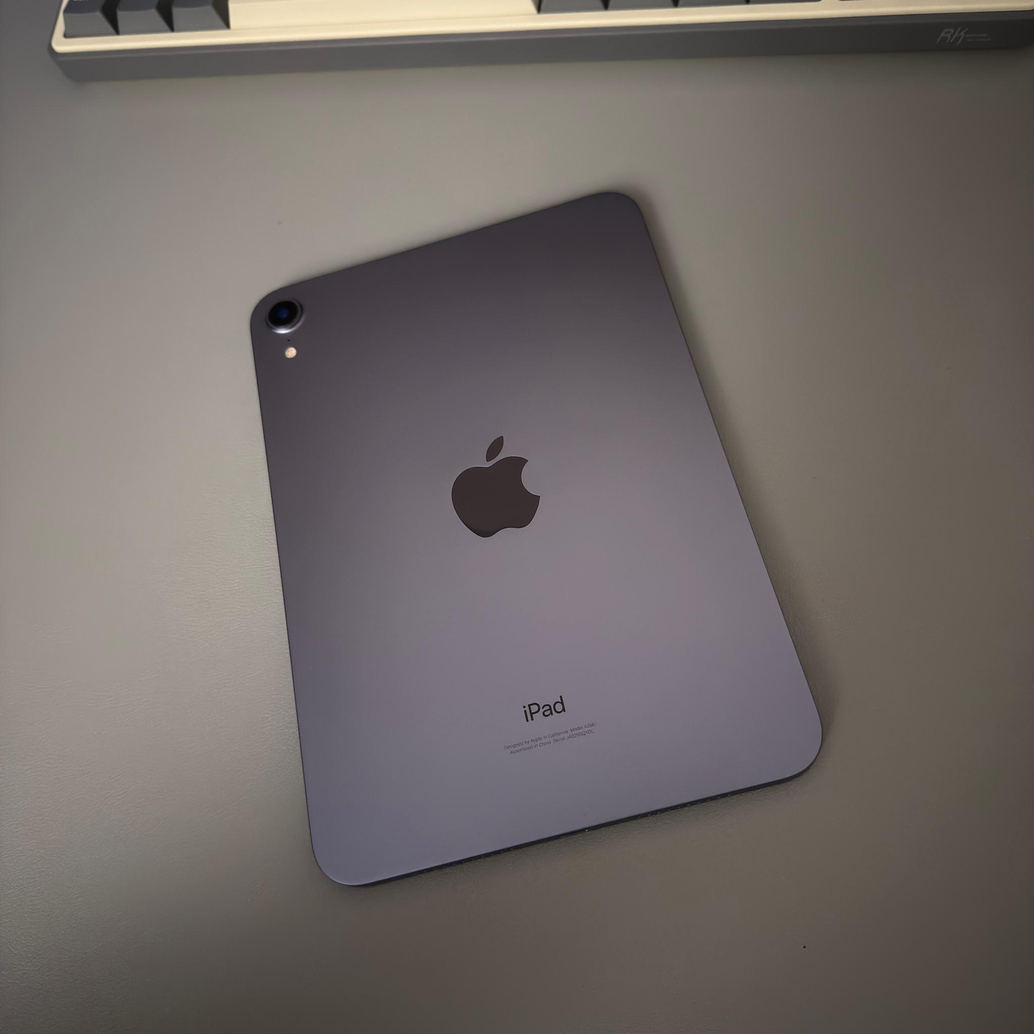 iPad mini