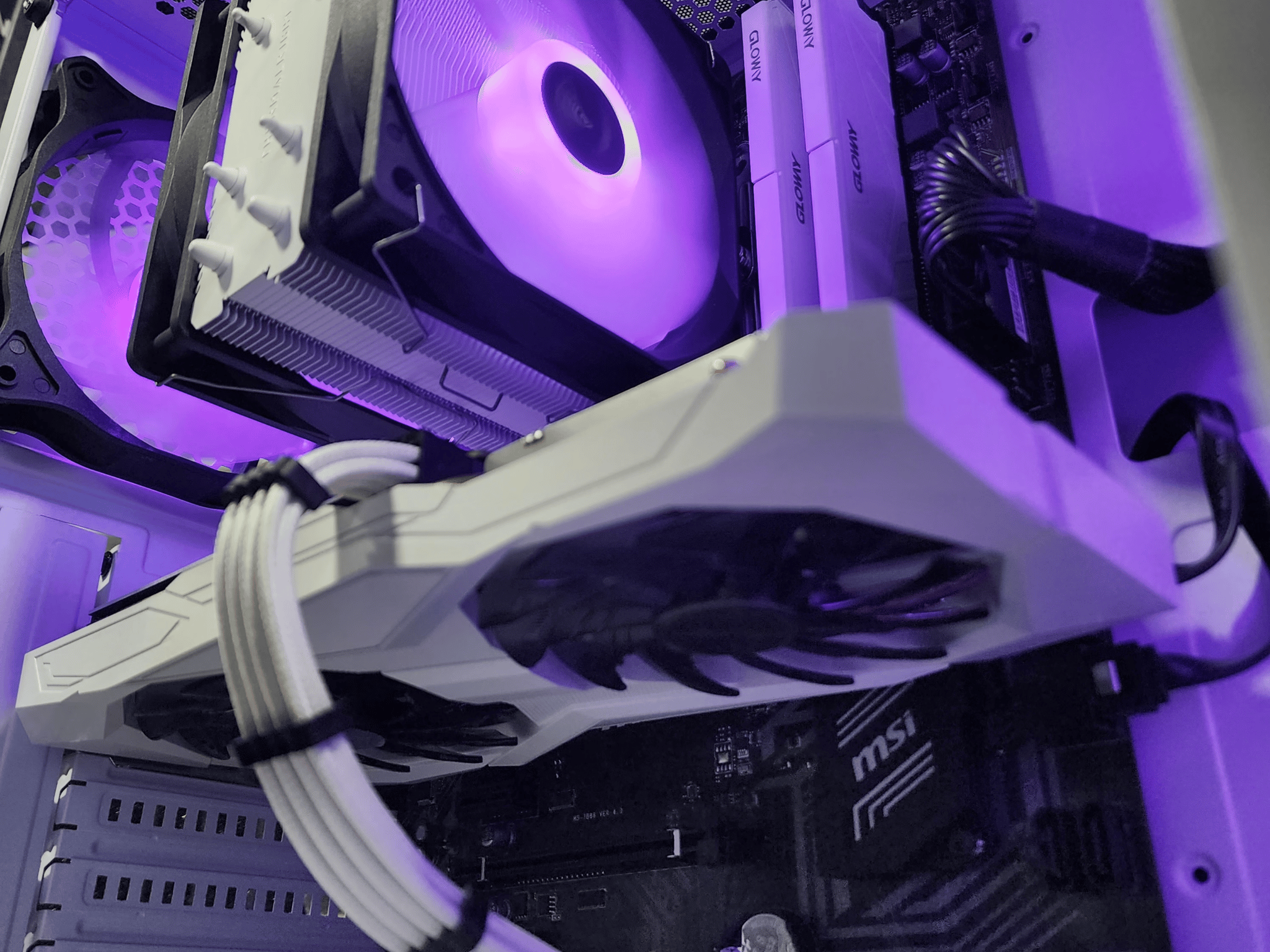 🤍💜🤍 AMD Ryzen 7 1700X // ASRock Challenger Radeon RX 6600 // Gloway 16GB 3200MHz 