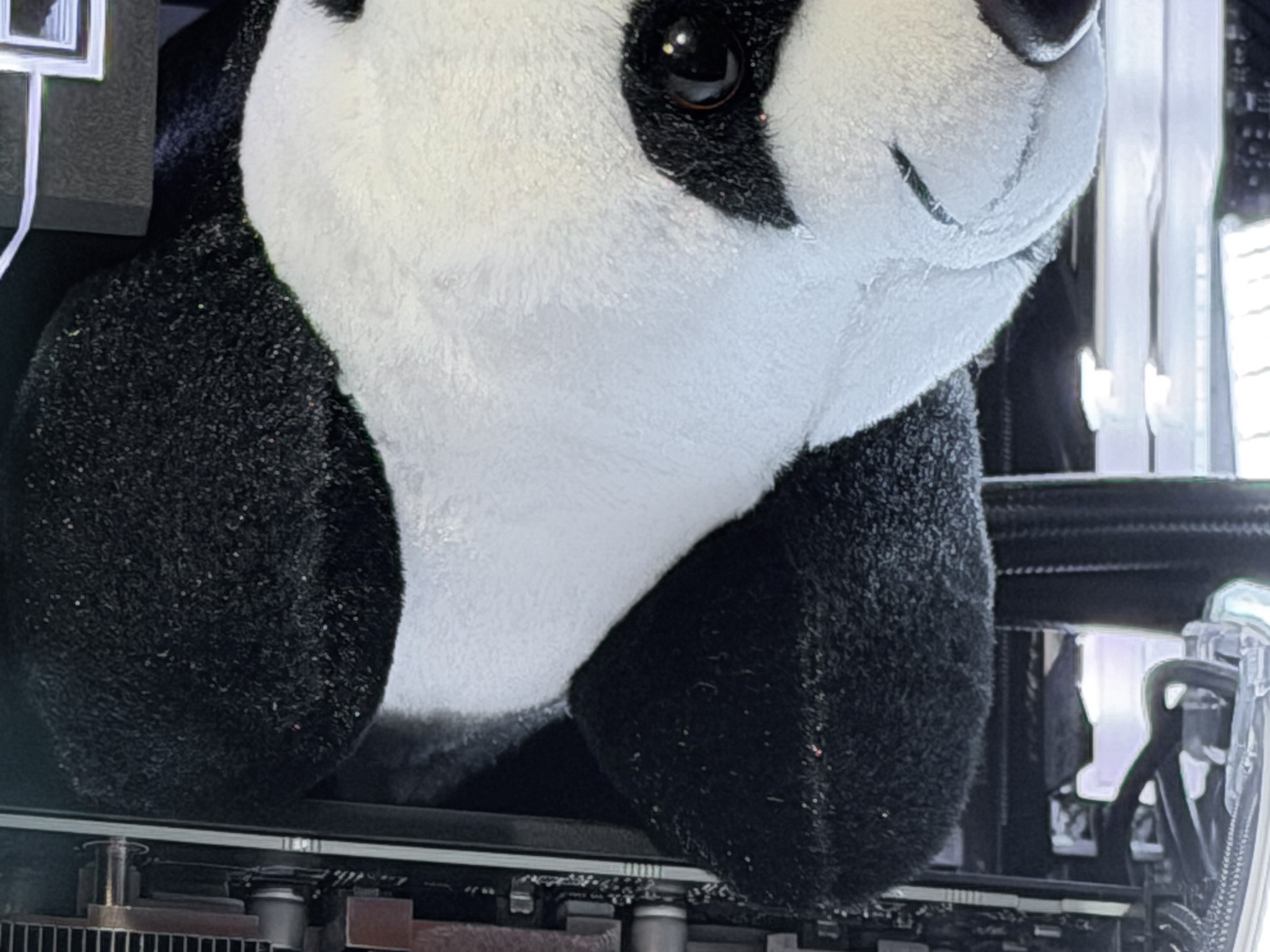 👑King Panda | RTX 4070 32gb DDR5 Ryzen 5 7600x👑