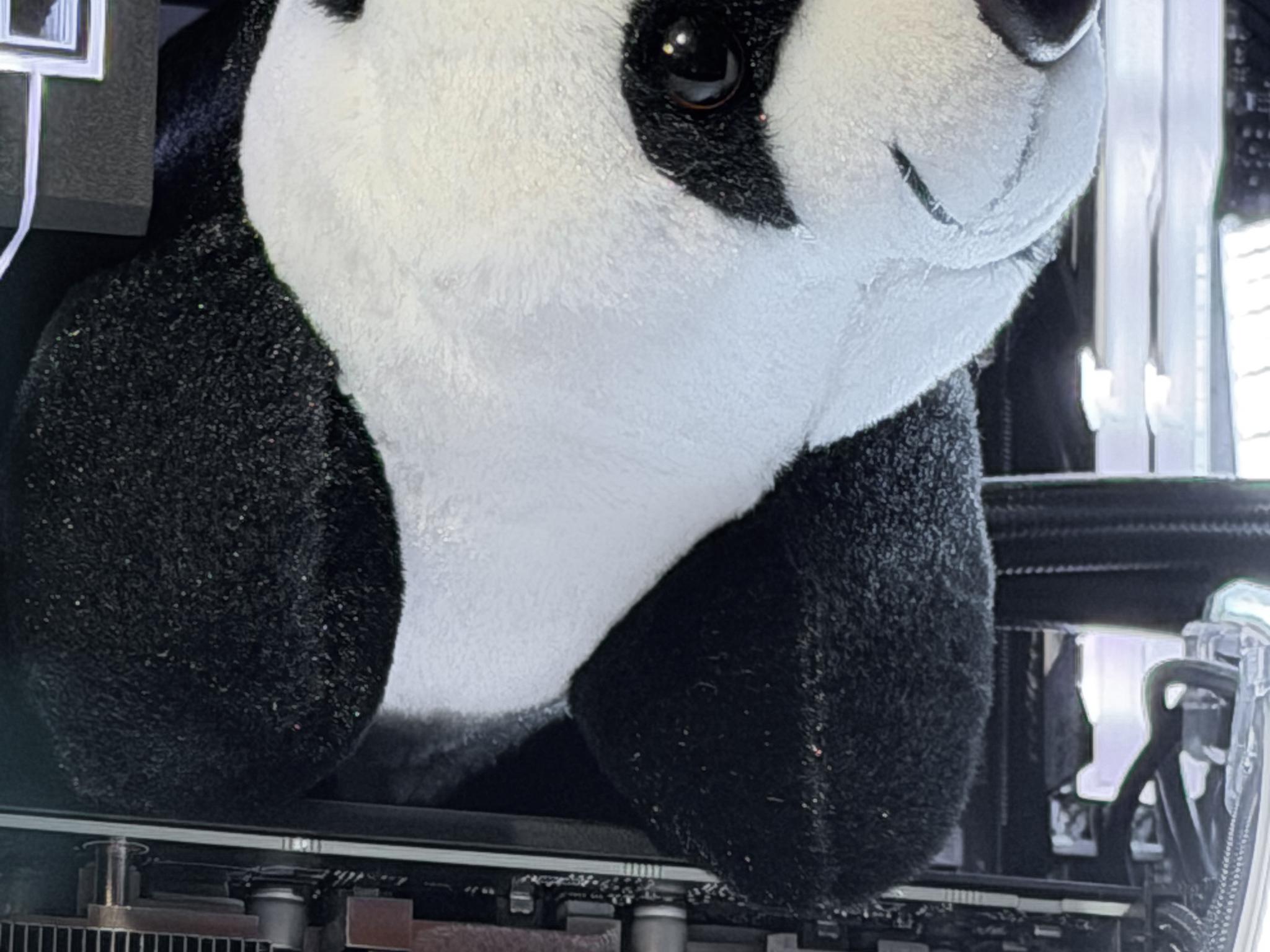 👑King Panda | RTX 4070 32gb DDR5 Ryzen 5 7600x👑