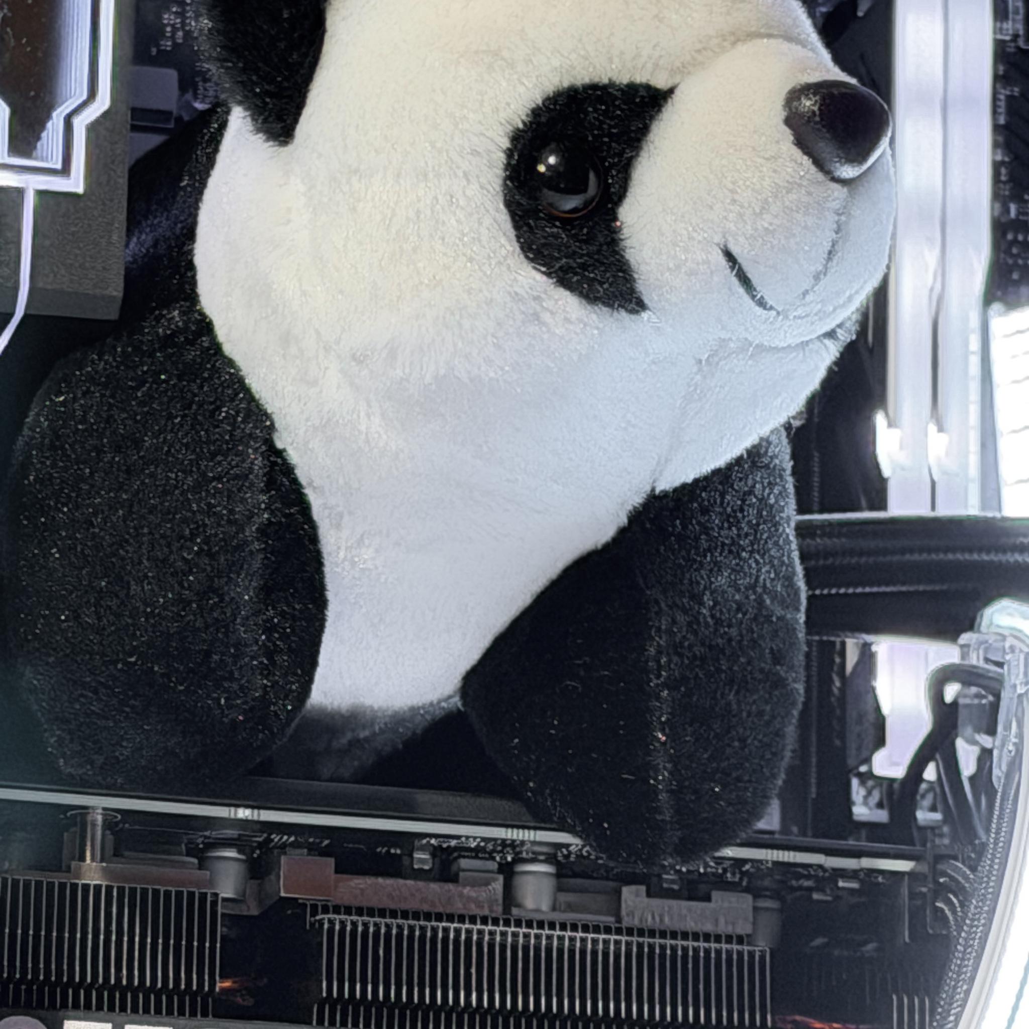 👑King Panda | RTX 4070 32gb DDR5 Ryzen 5 7600x👑