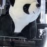 👑King Panda | RTX 4070 32gb DDR5 Ryzen 5 7600x👑
