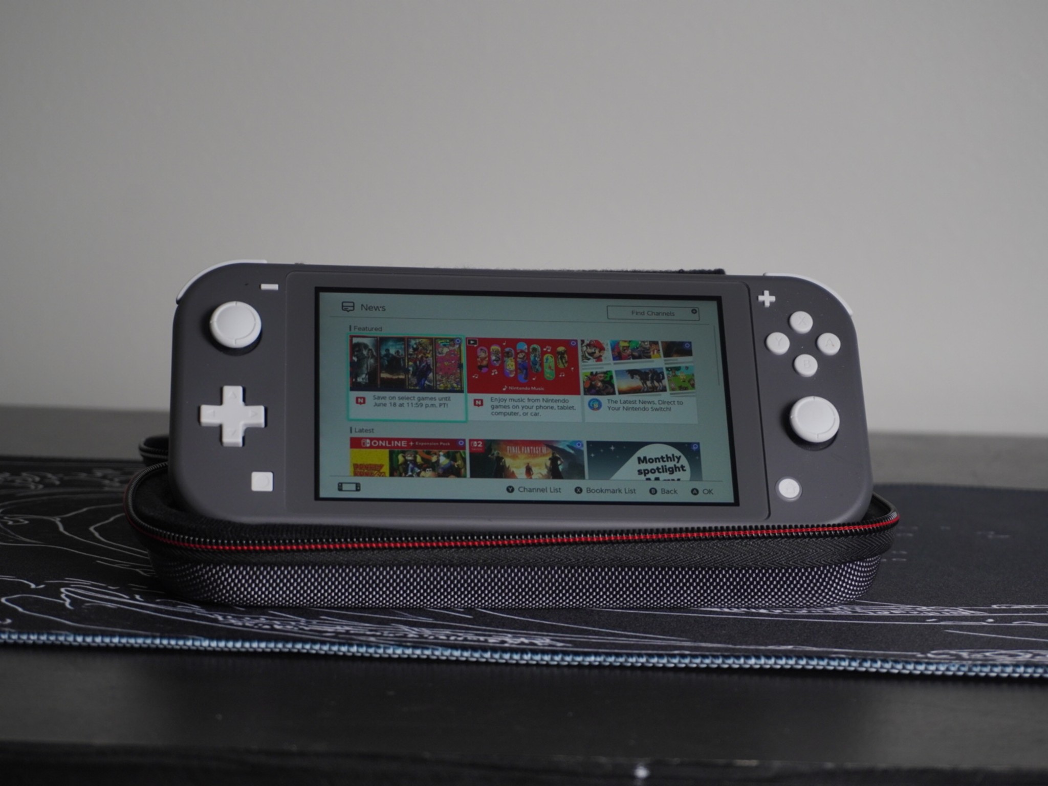 Switch Lite Grey + Case