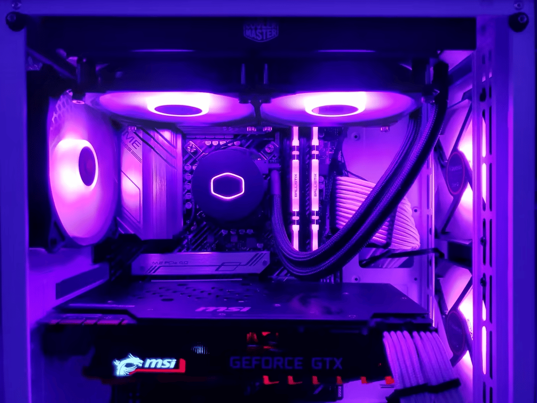 "Socotra" | i5 10400f - GTX 1080ti
