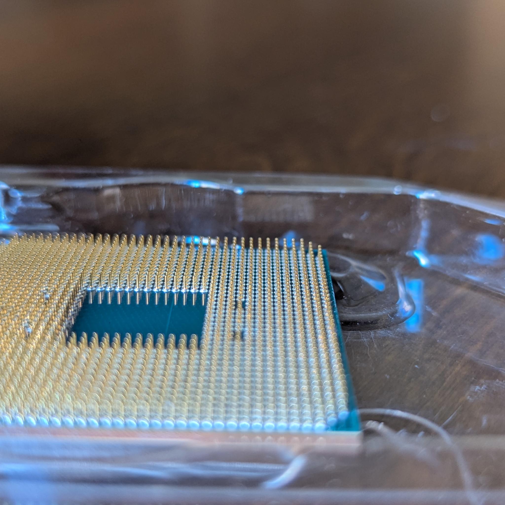 AMD Ryzen 5 3600